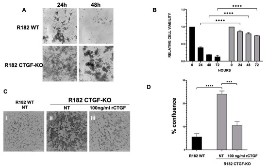 A Novel Role of Connective Tissue Growth Factor in the Regulation of ...