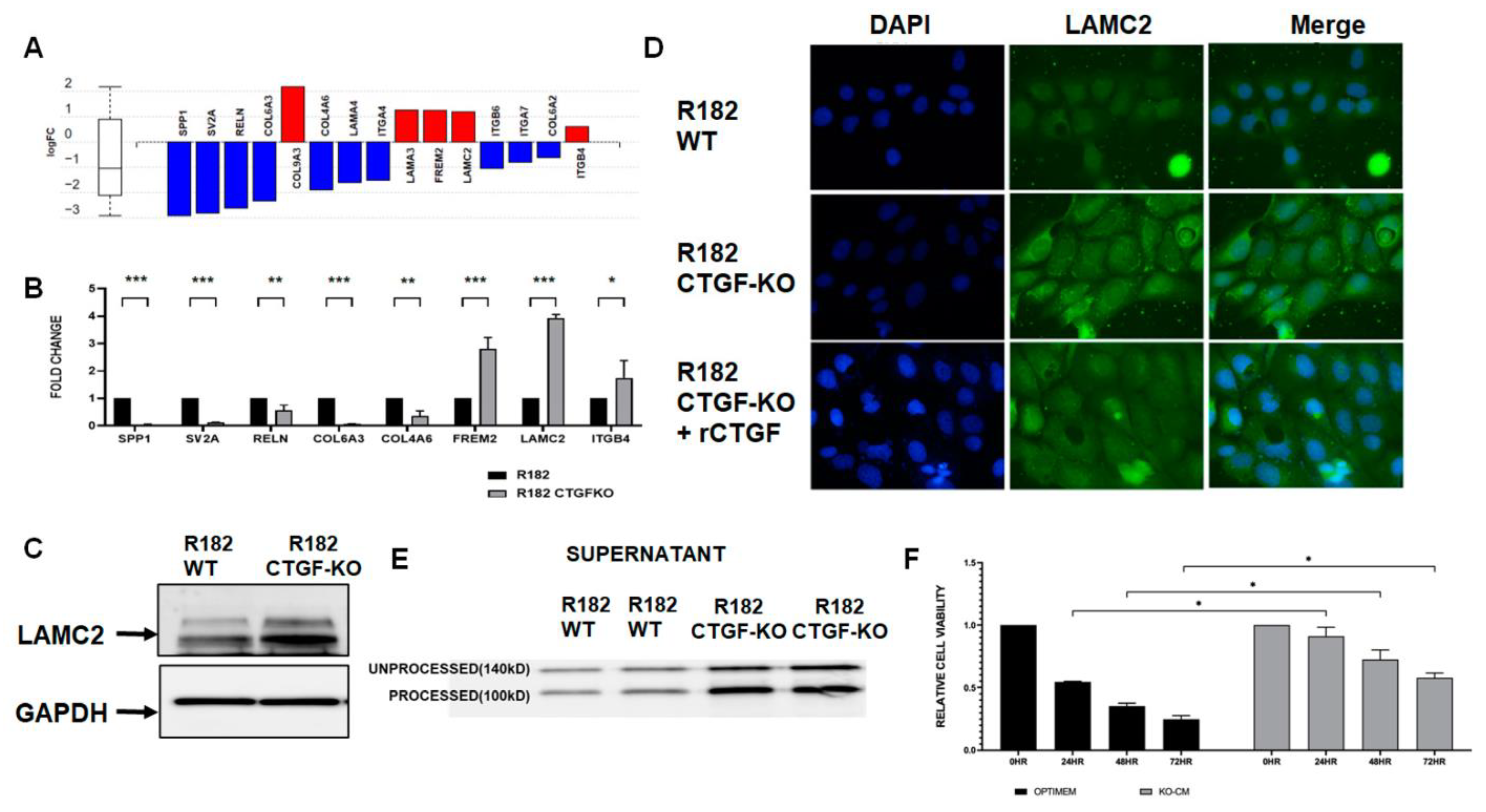 Cancers 15 04834 g005