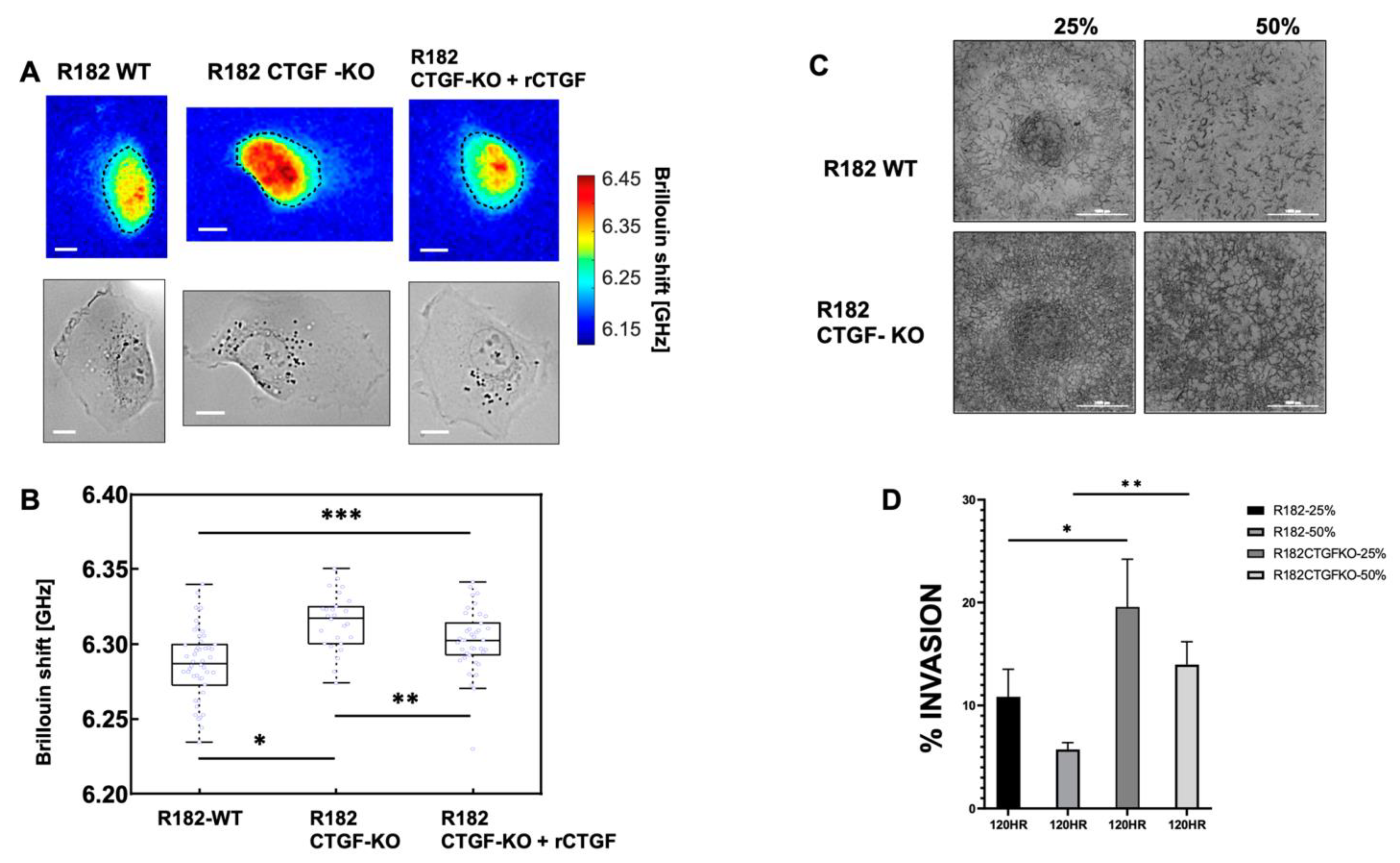 Cancers 15 04834 g007