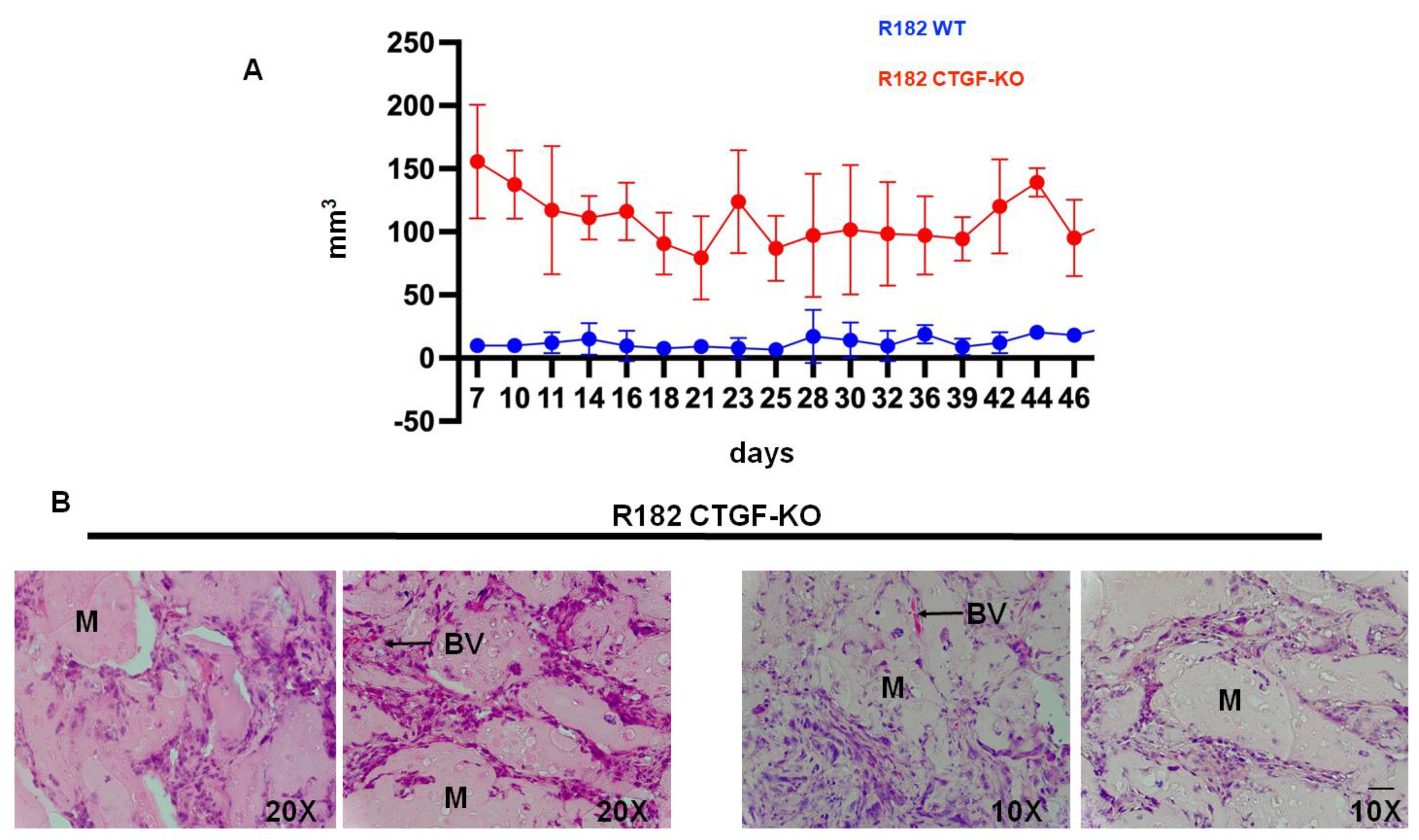 Cancers 15 04834 g008