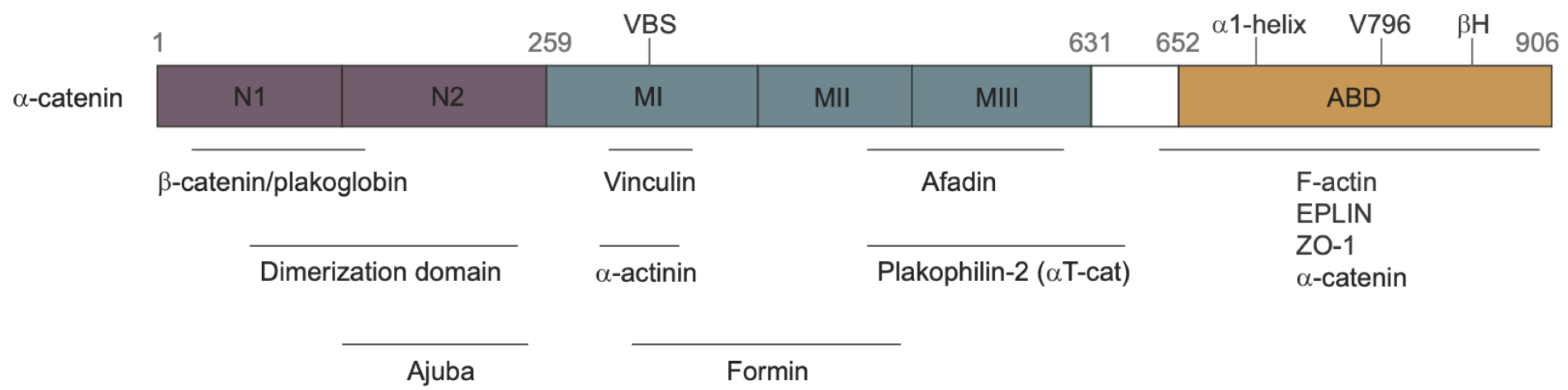 Cancers 15 04840 g007