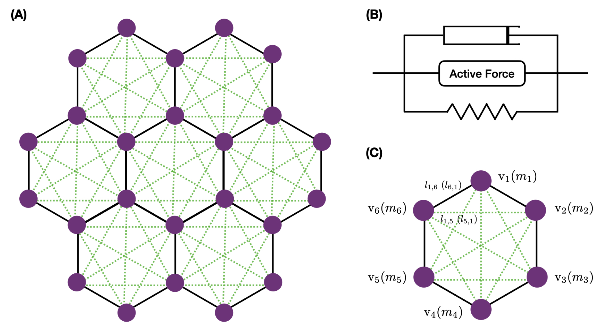 Cancers 15 04840 g012