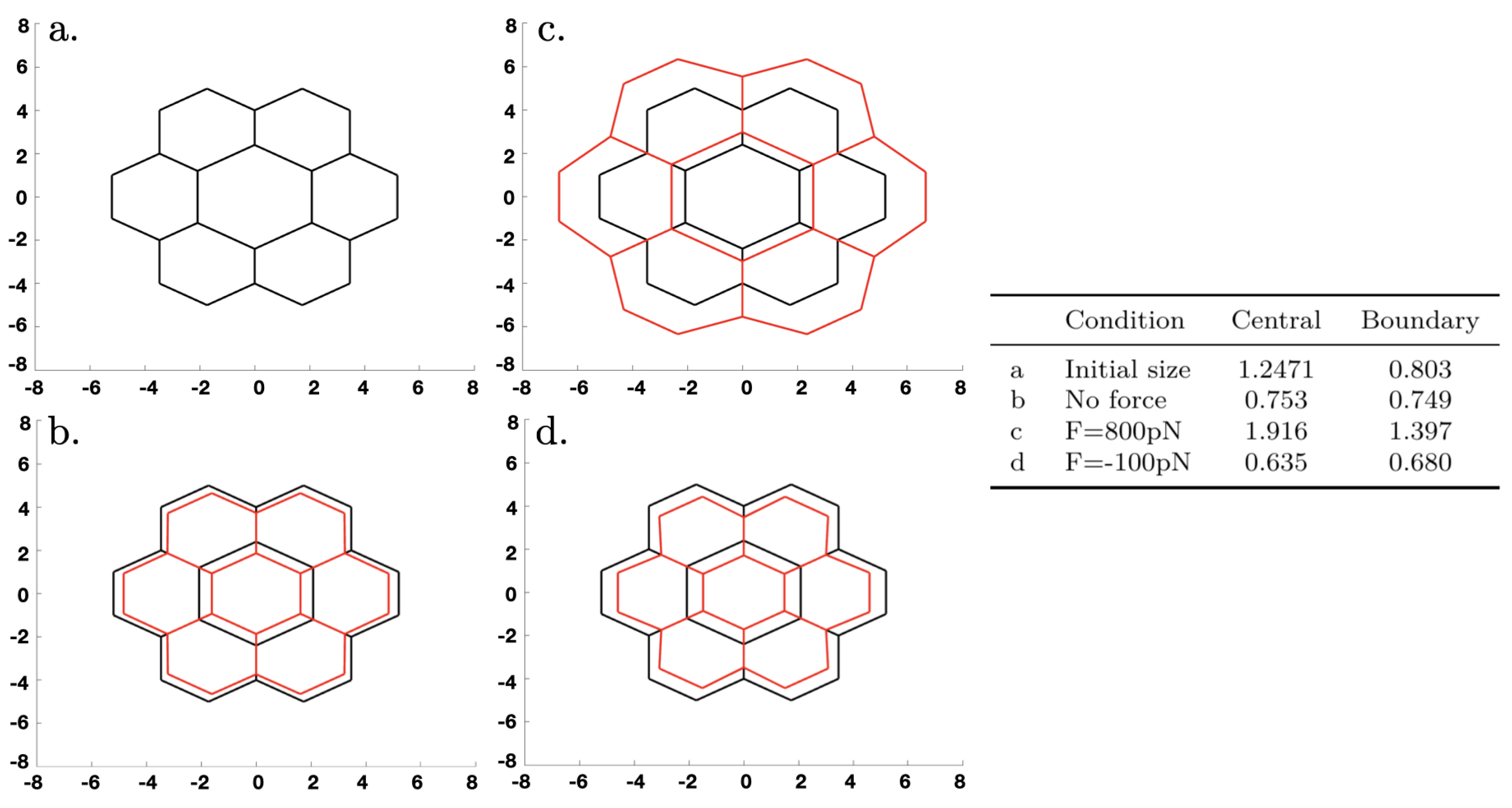 Cancers 15 04840 g013