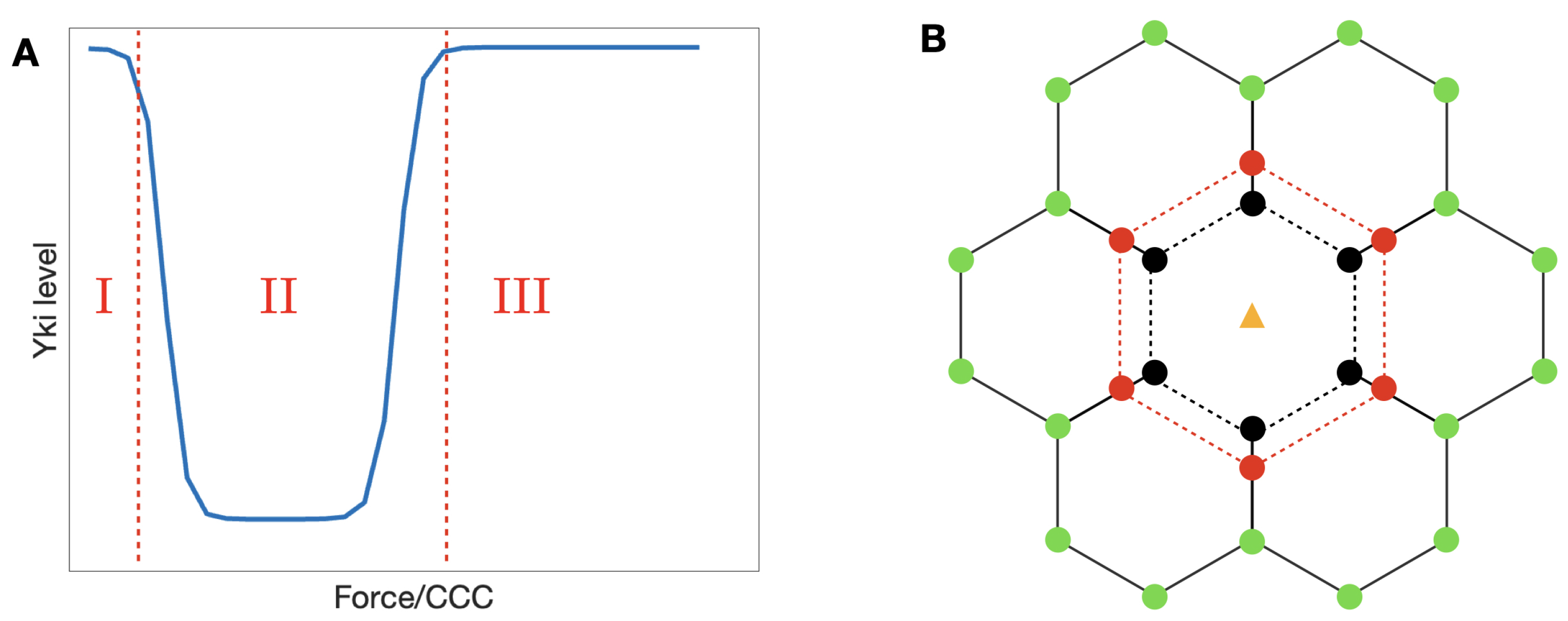 Cancers 15 04840 g014