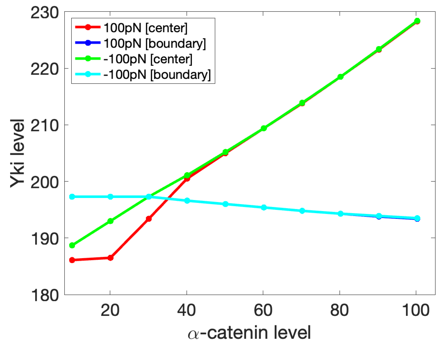 Cancers 15 04840 g016
