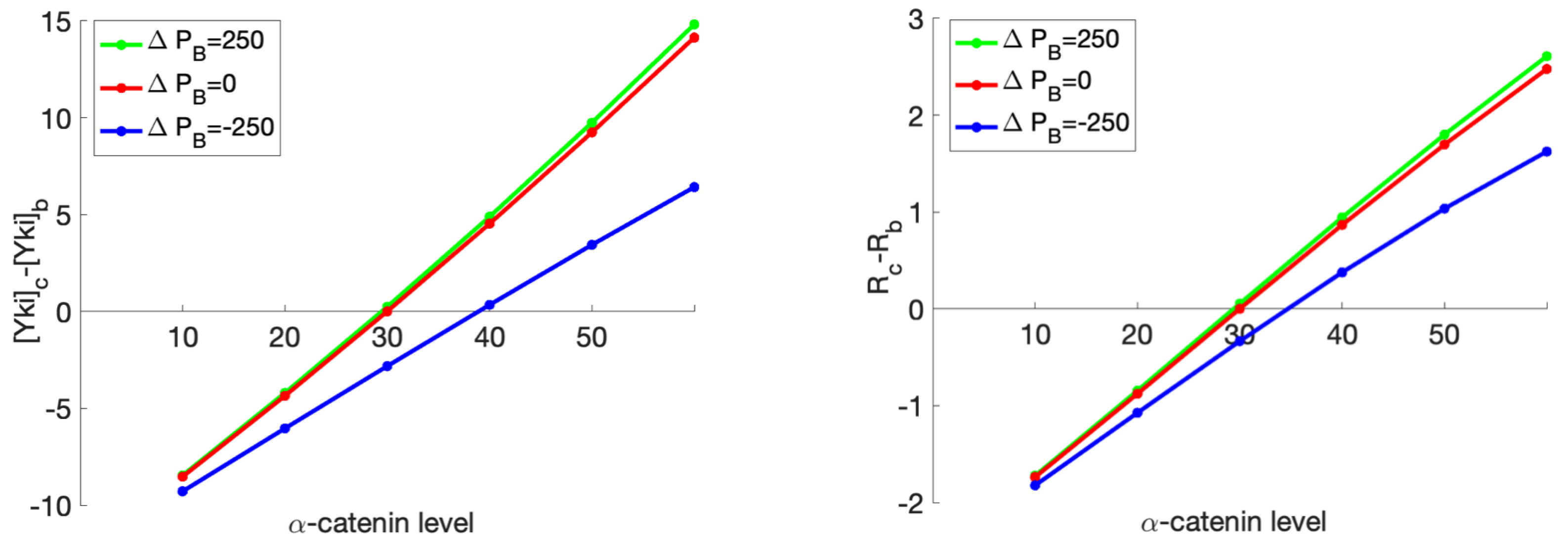Cancers 15 04840 g019
