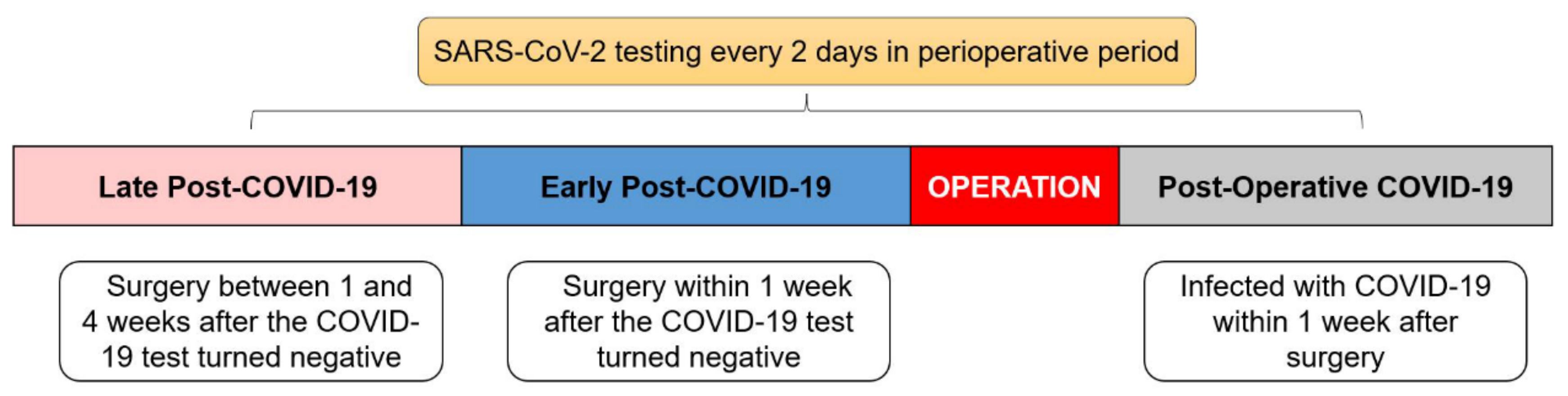 Cancers 15 04841 g001