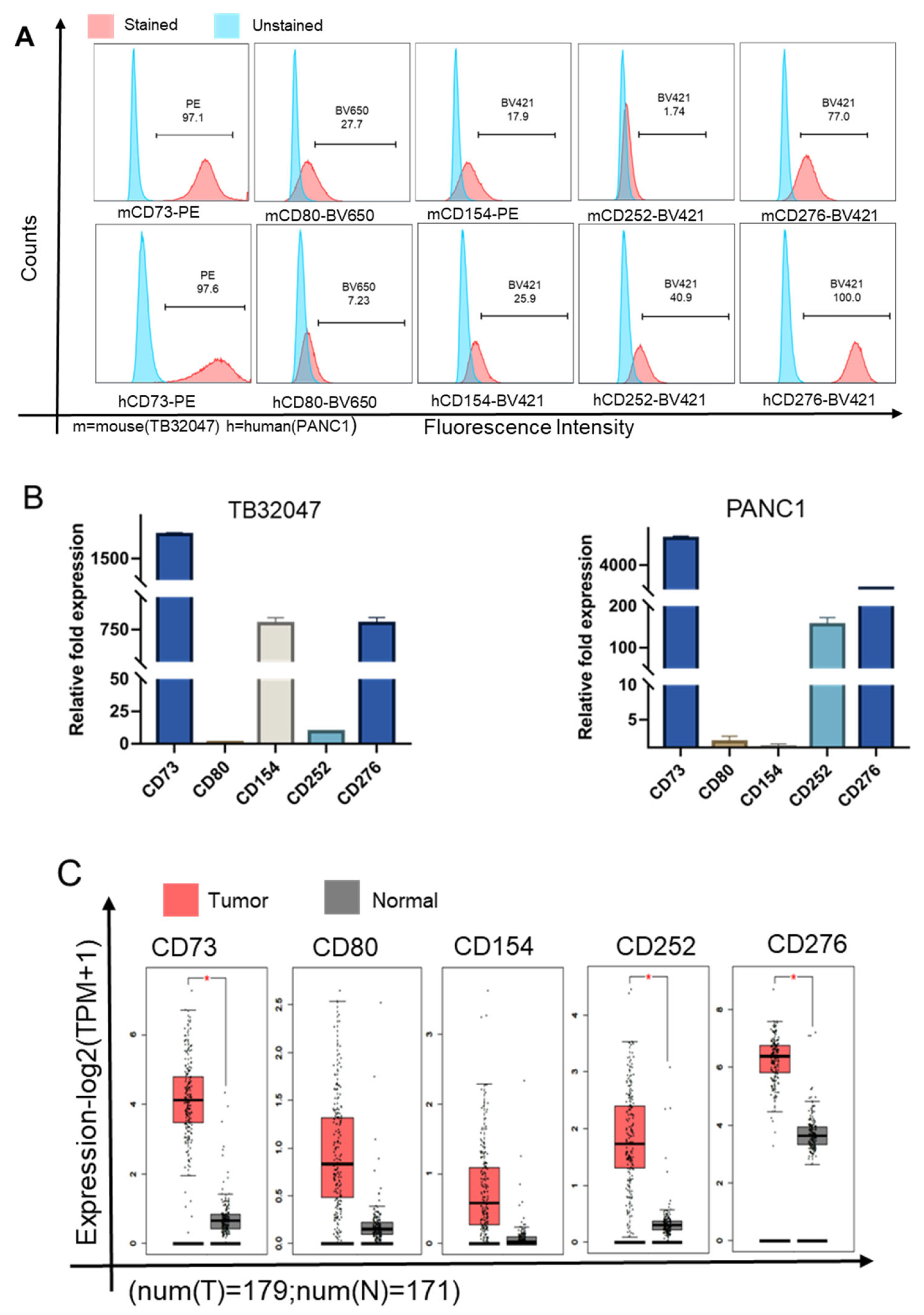 Cancers 15 04842 g001a