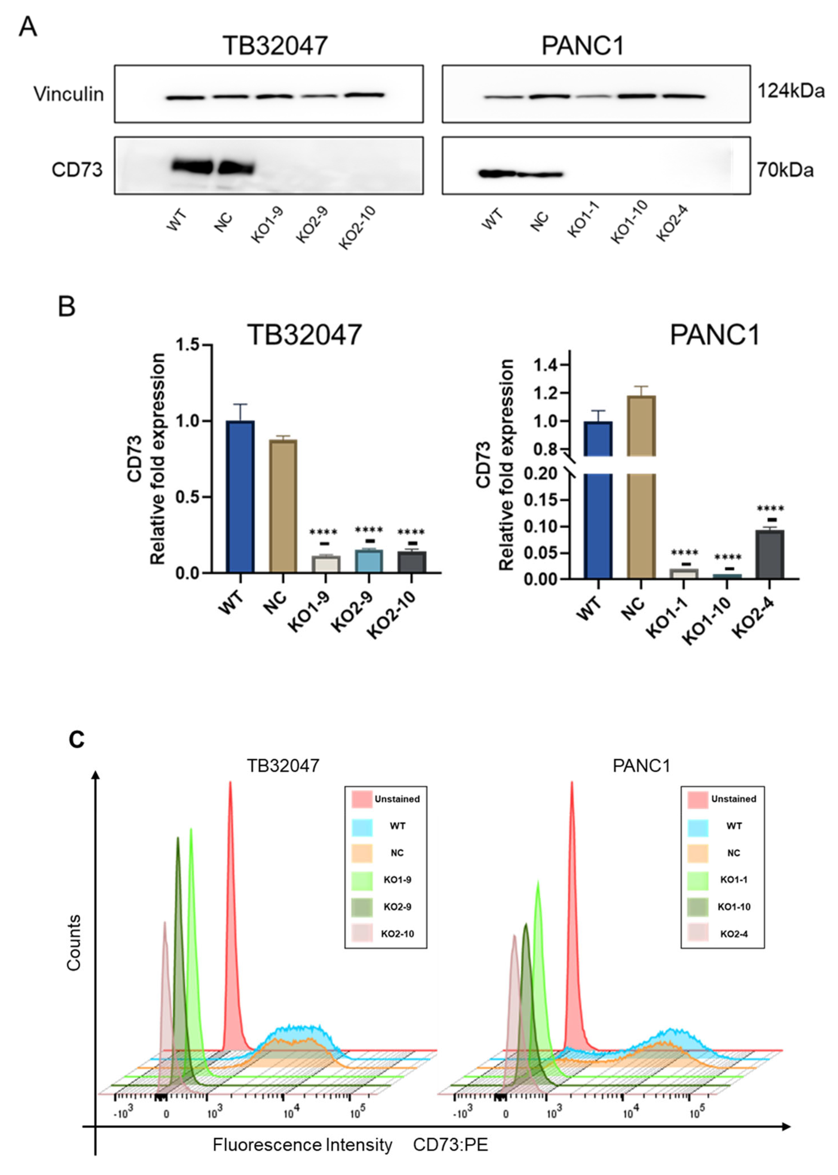 Cancers 15 04842 g002