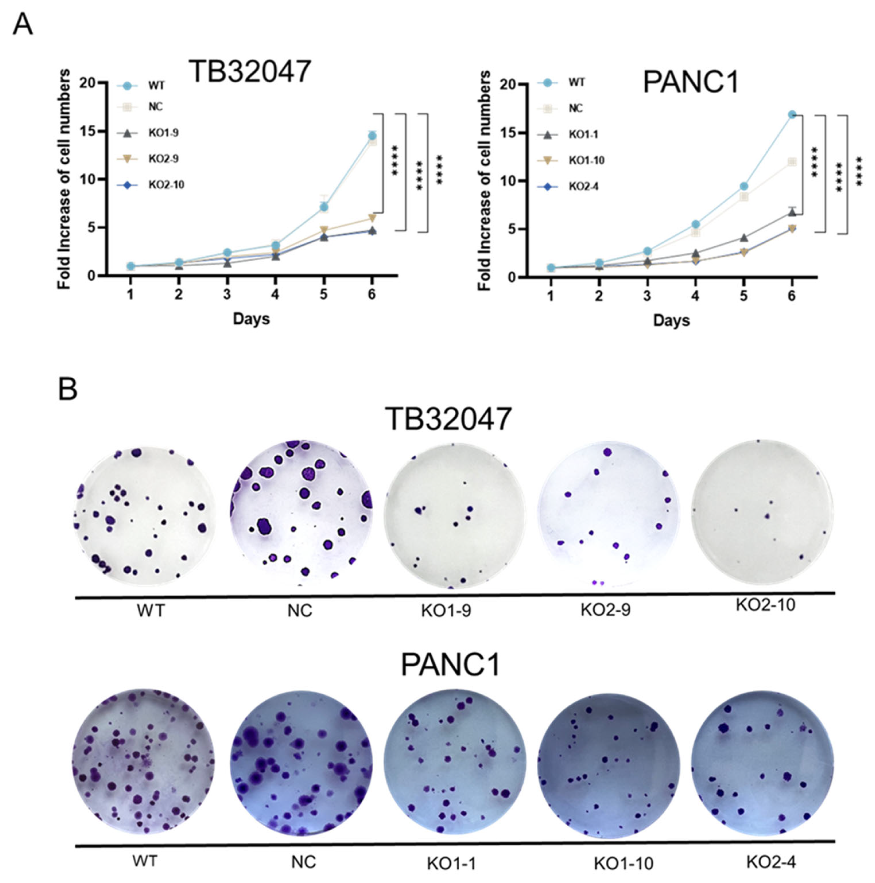 Cancers 15 04842 g003a