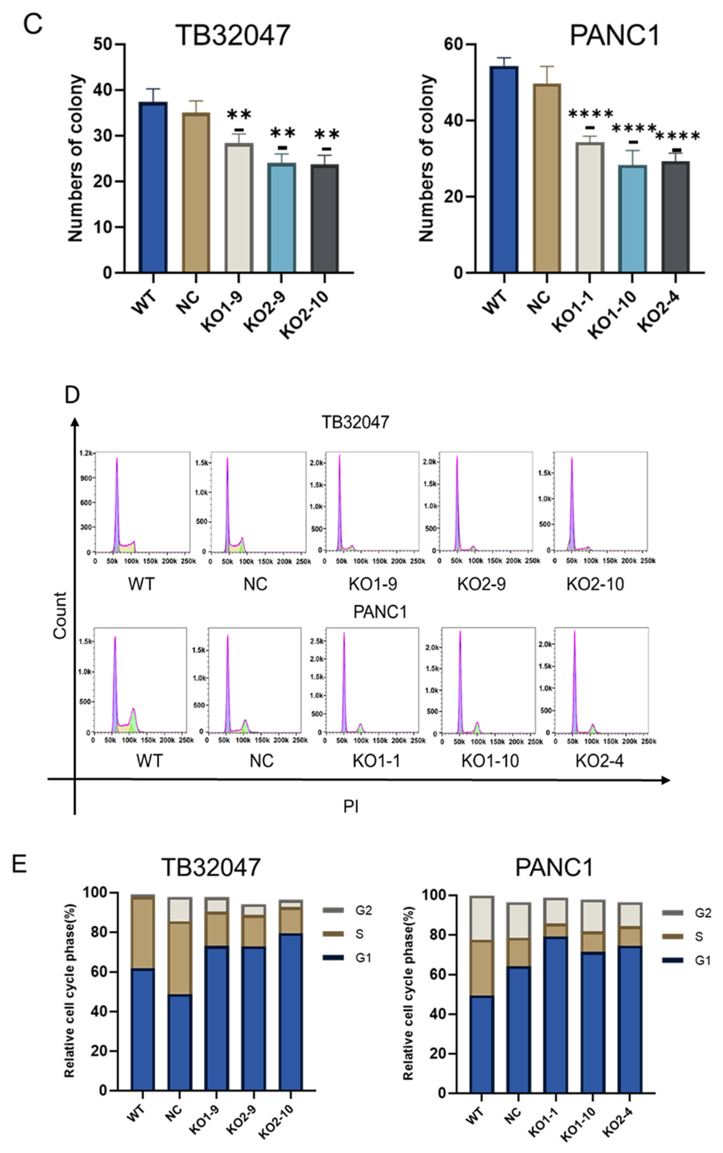 Cancers 15 04842 g003b