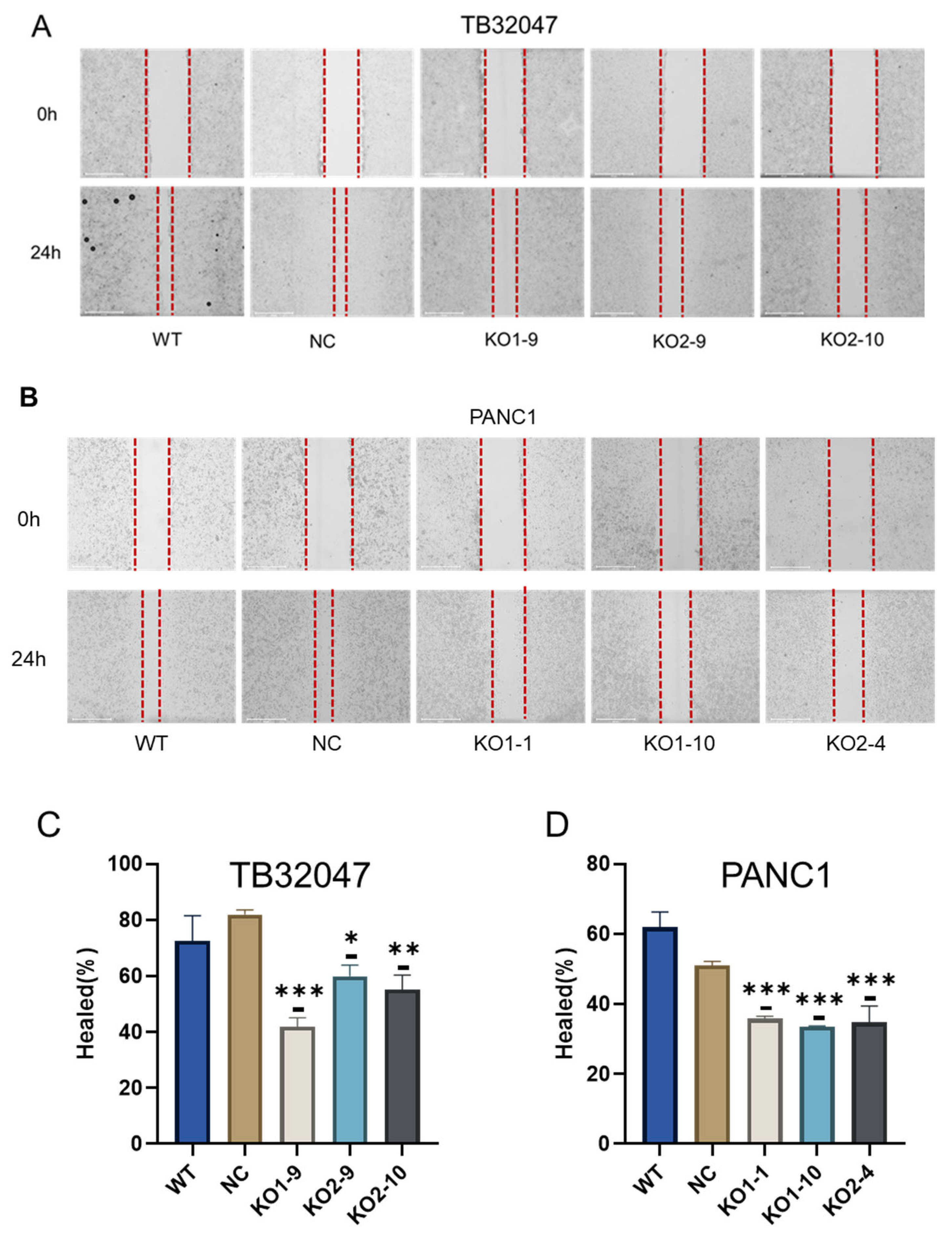 Cancers 15 04842 g004