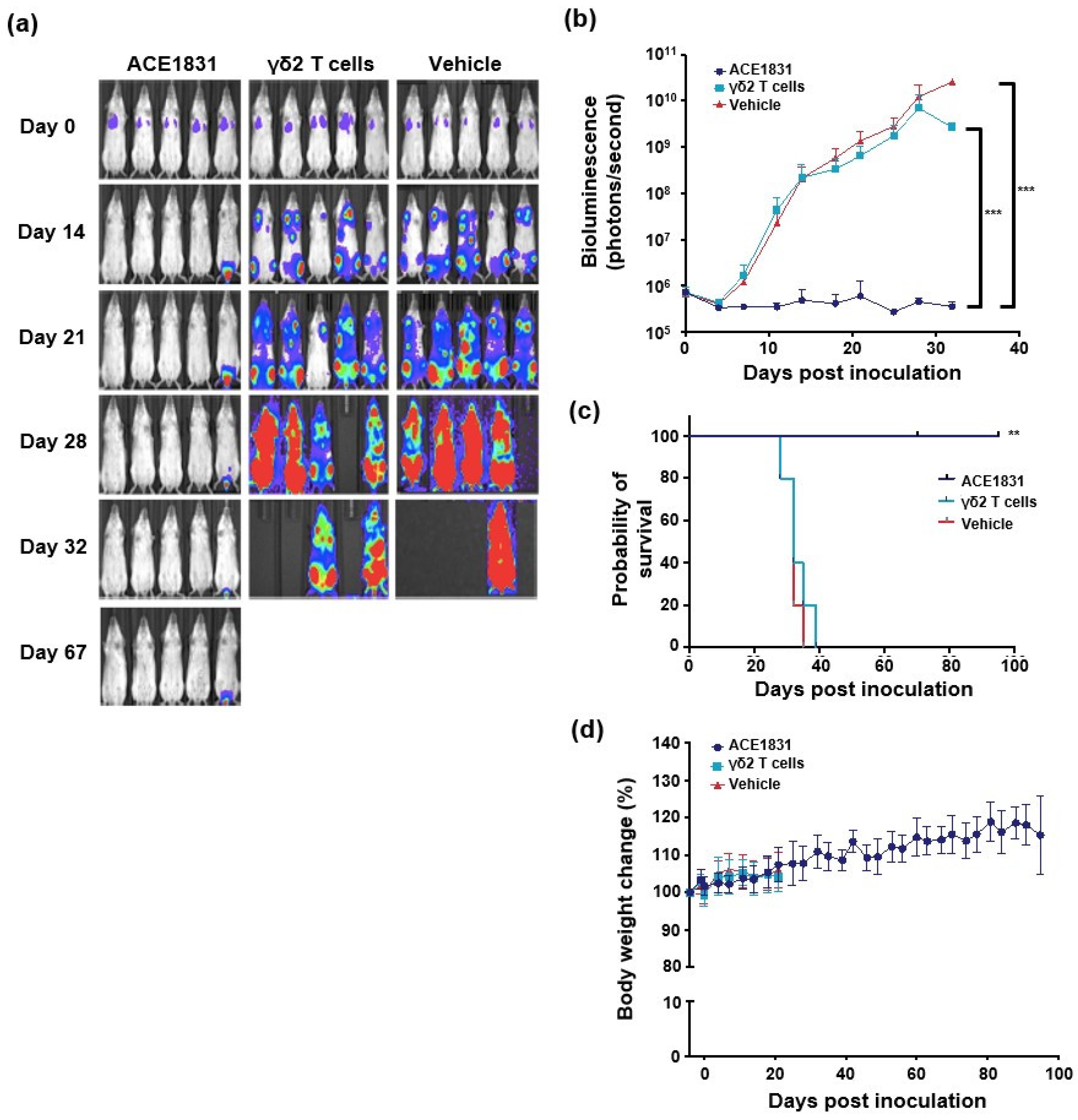 Cancers 15 04844 g003
