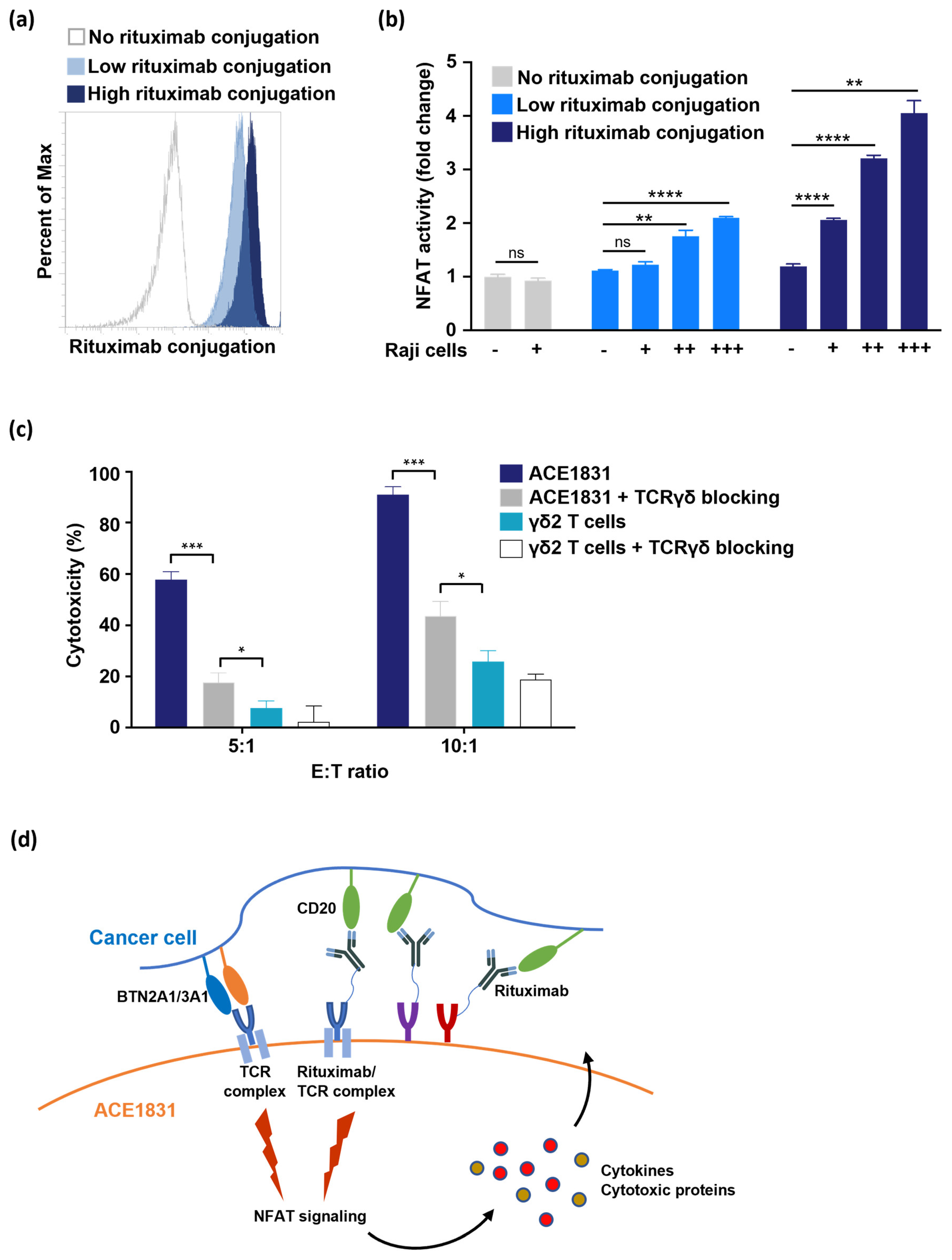 Cancers 15 04844 g005