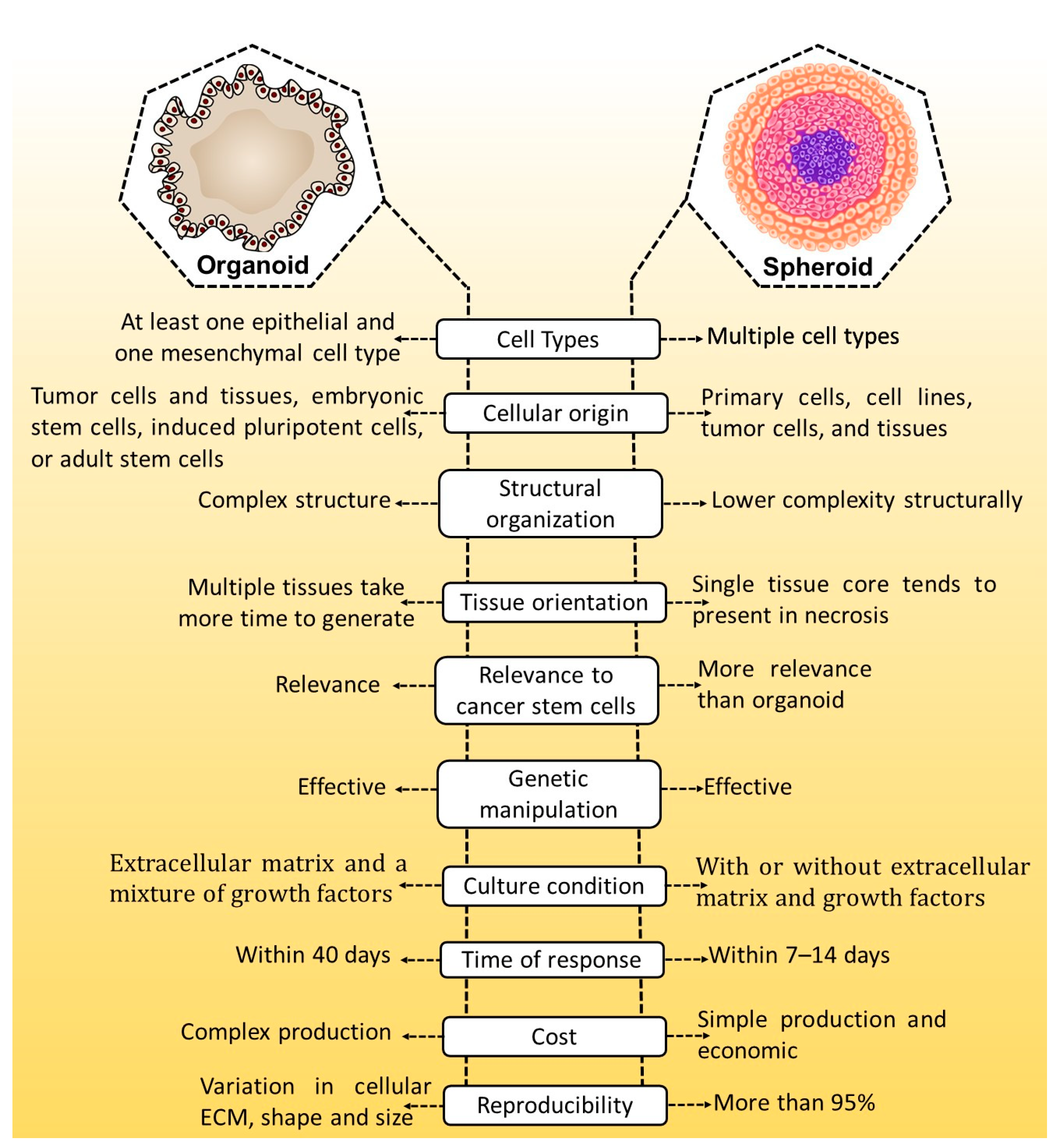 Cancers 15 04846 g001 Cancers 15 04846 g001