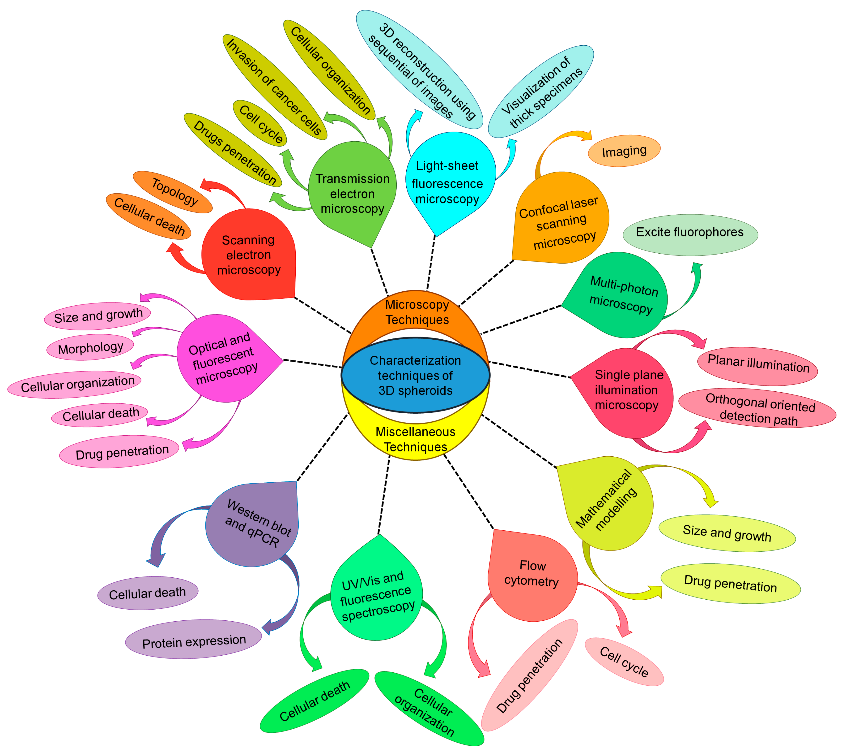 Cancers 15 04846 g002 Cancers 15 04846 g002