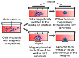 Cancers 15 04846 i008 Cancers 15 04846 i008