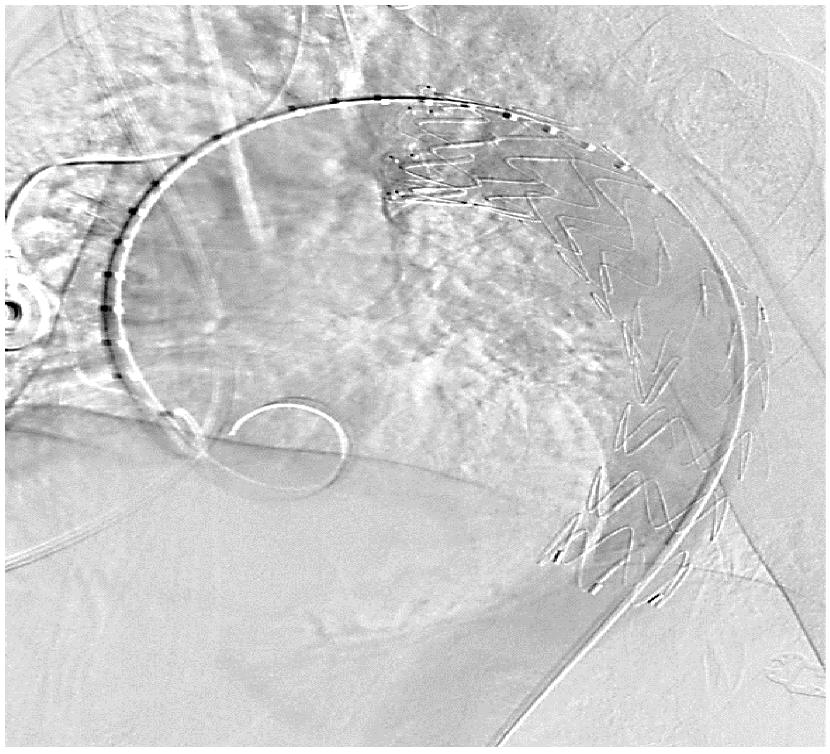 Cancers 15 04847 g003 Cancers 15 04847 g003