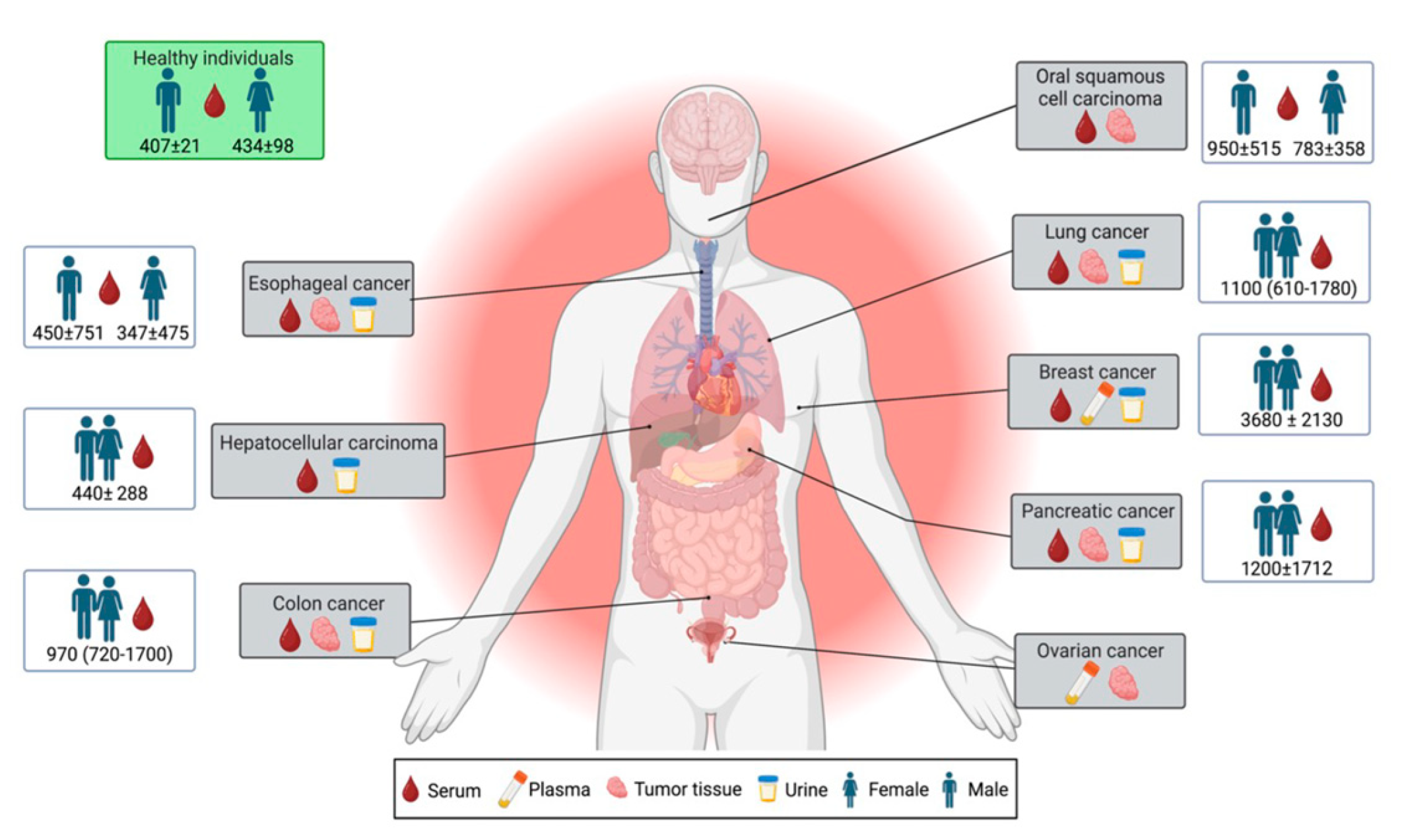 Cancers 15 04850 g001