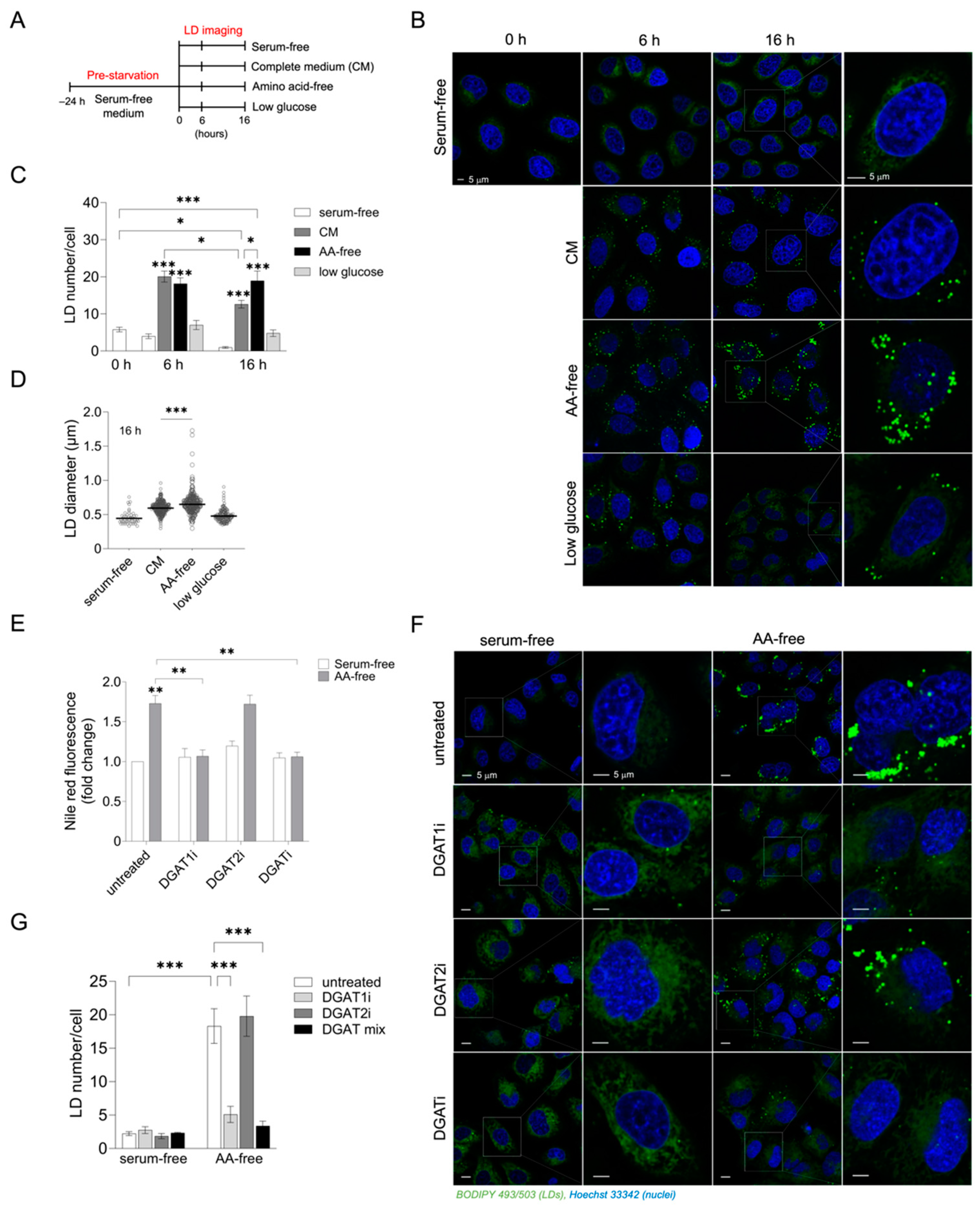 Cancers 15 04857 g001