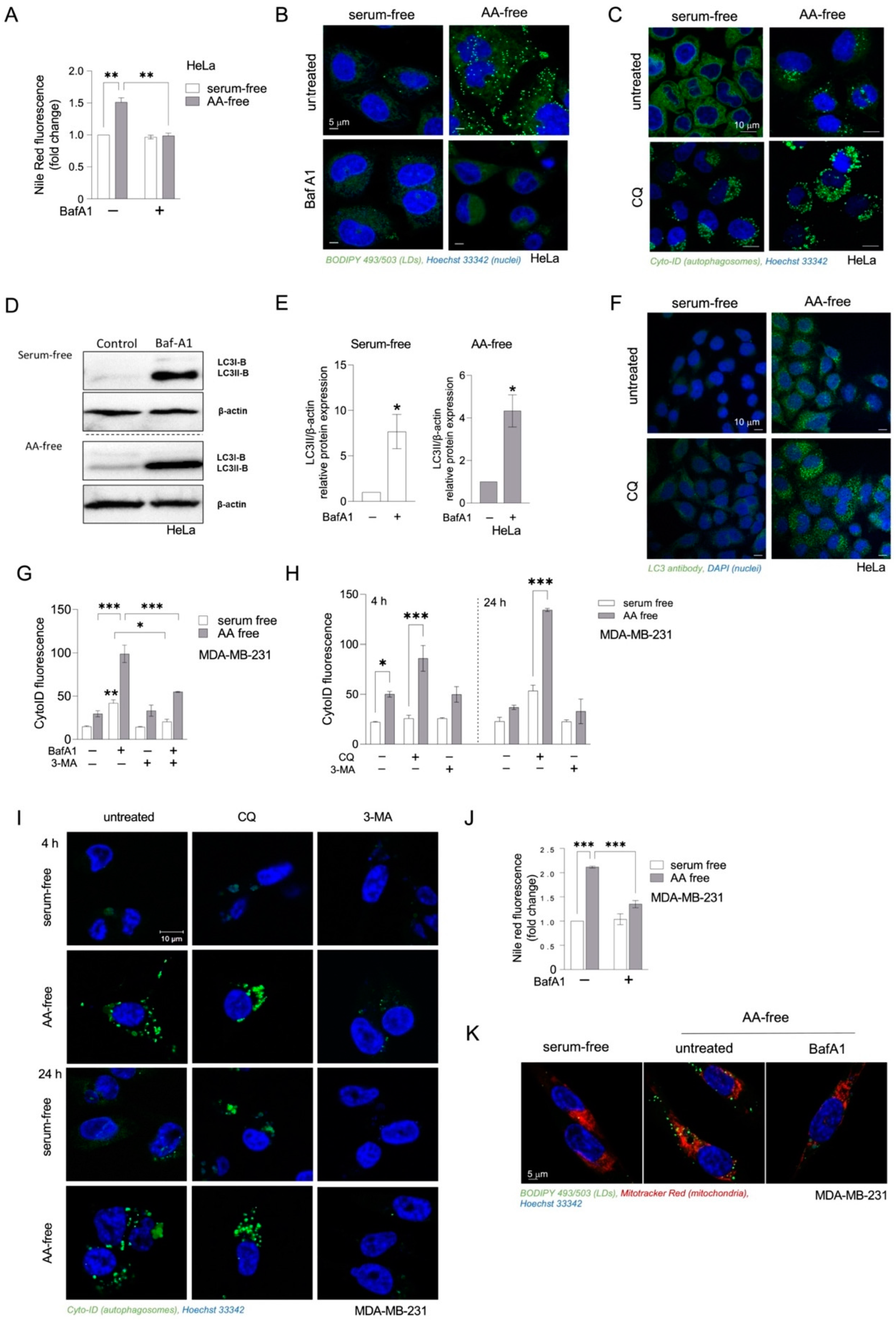Cancers 15 04857 g002