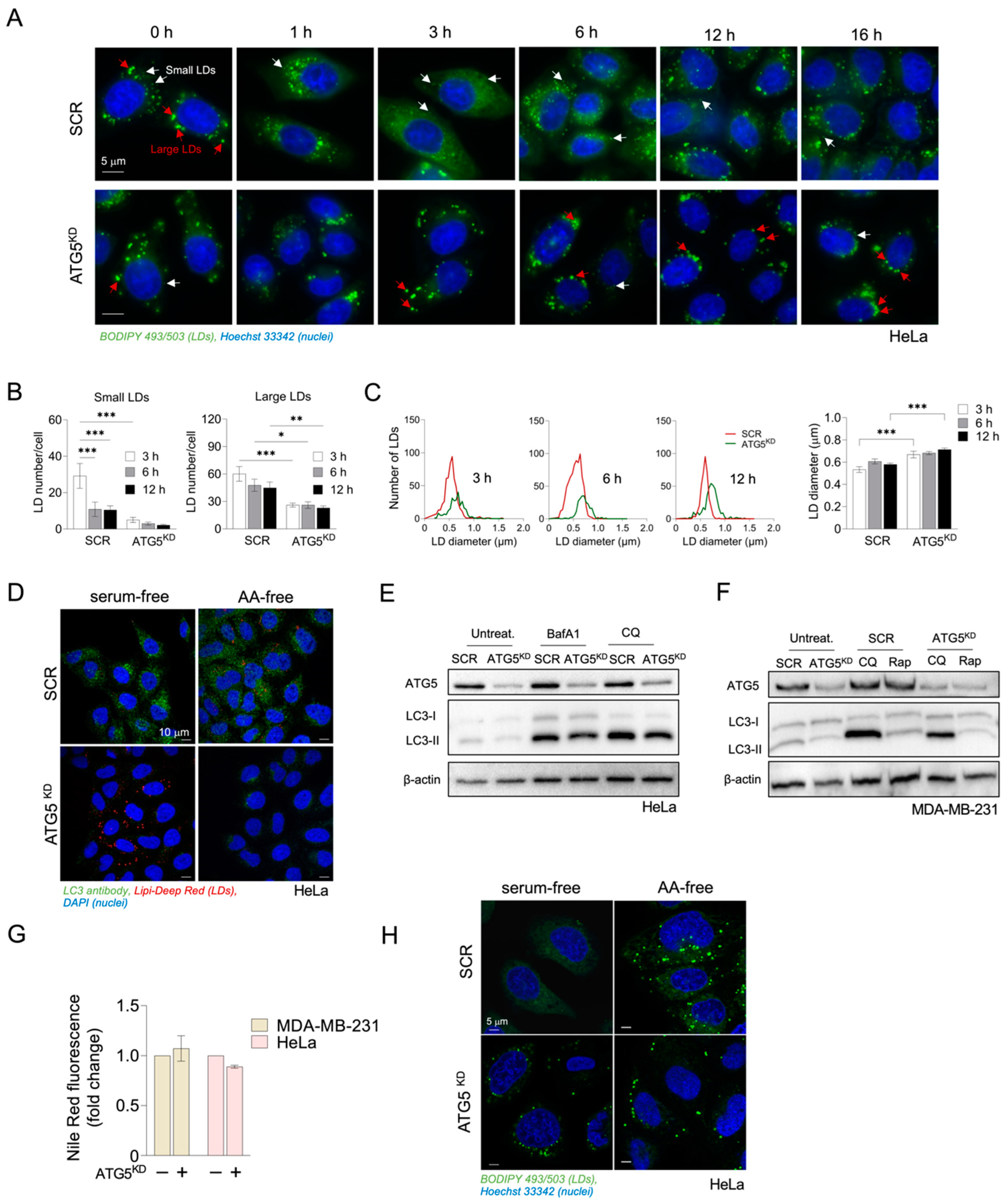 Cancers 15 04857 g003
