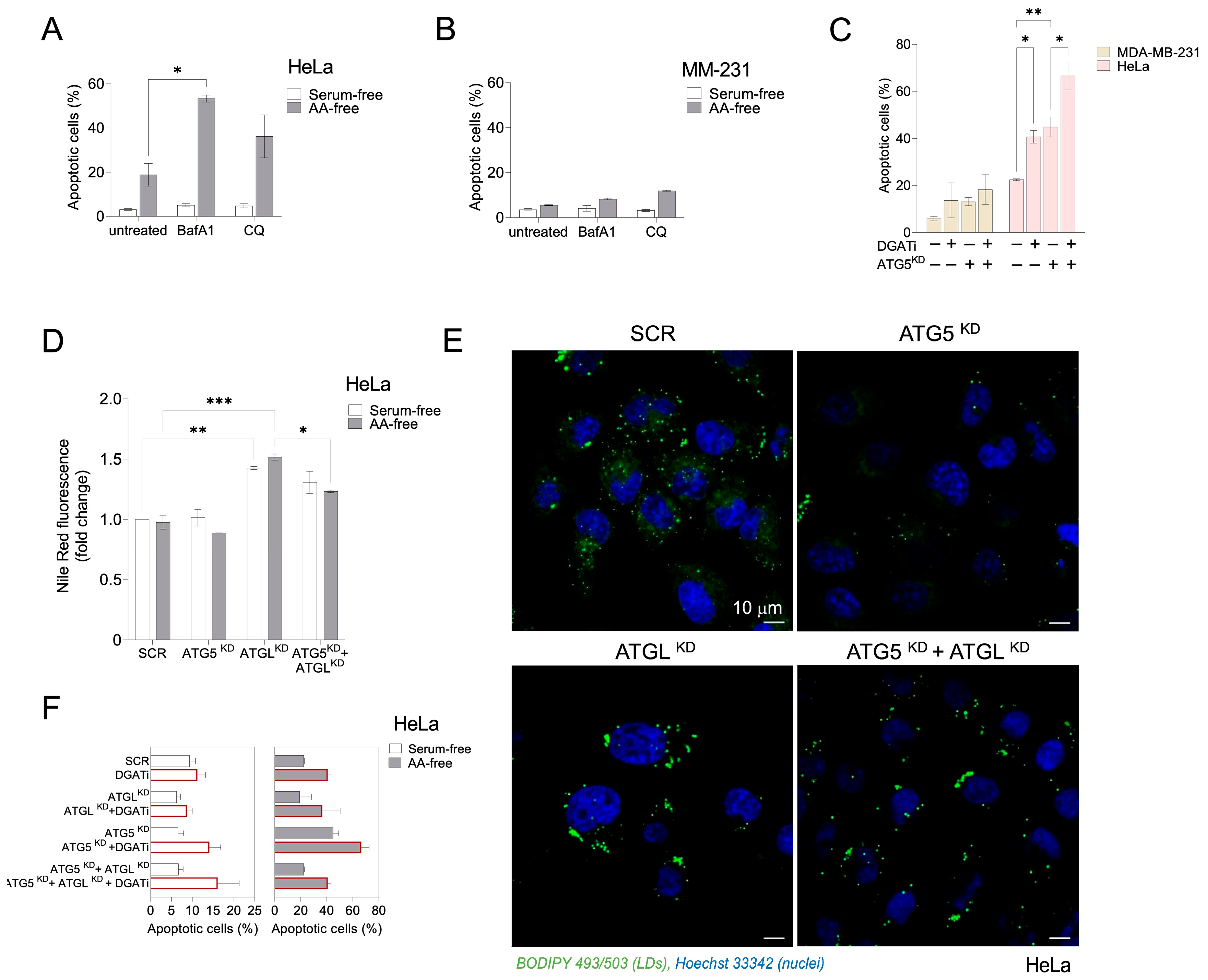 Cancers 15 04857 g005