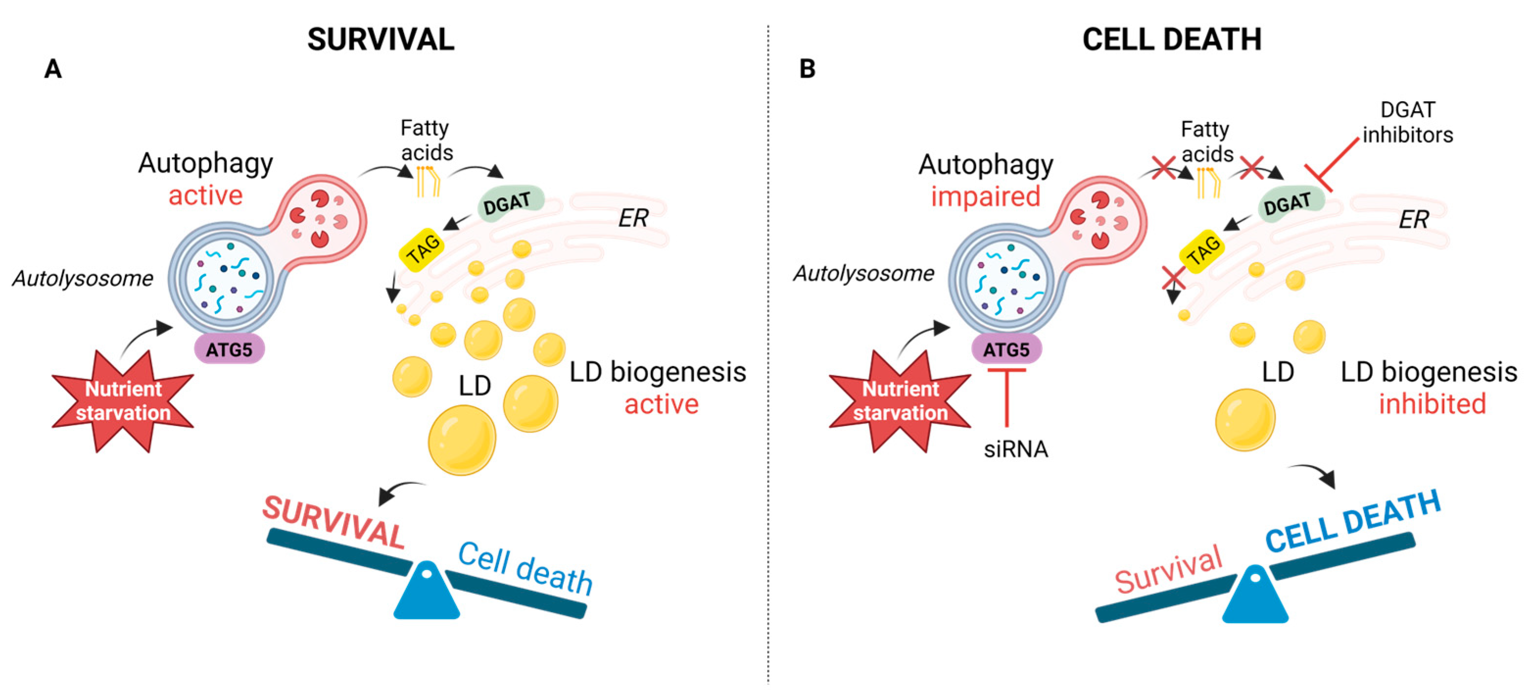 Cancers 15 04857 g006