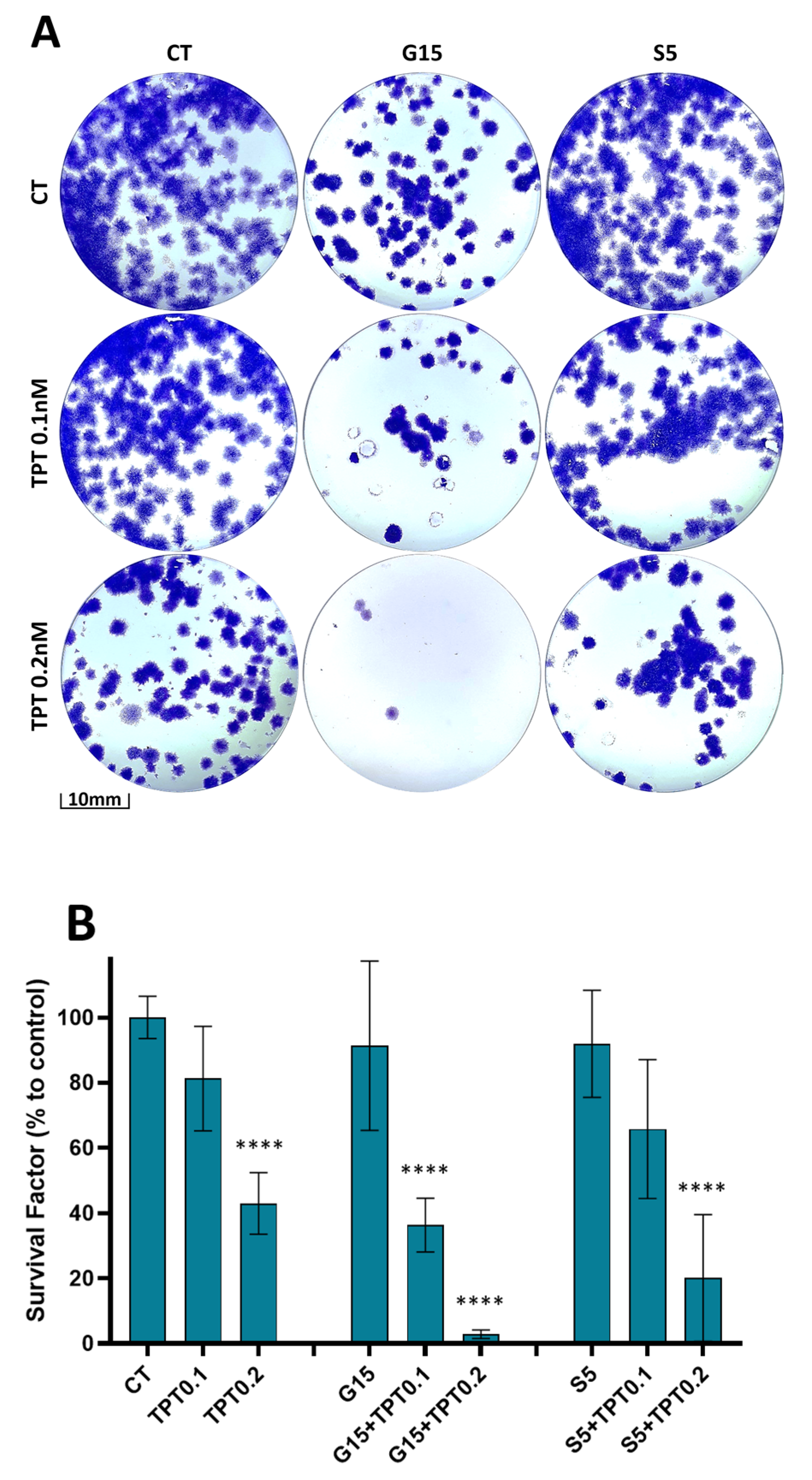 Cancers 15 04858 g007