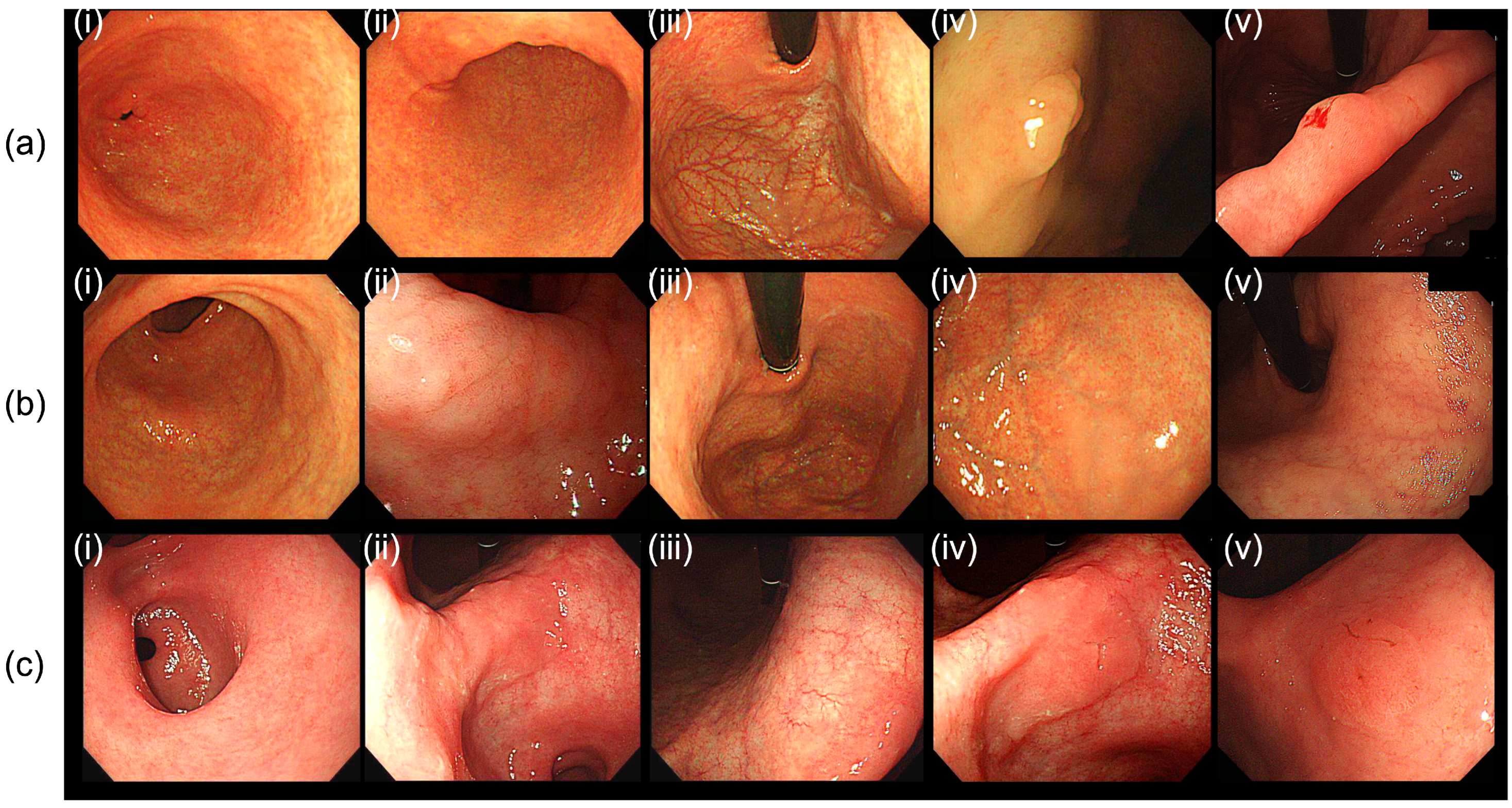 Cancers 15 04859 g002