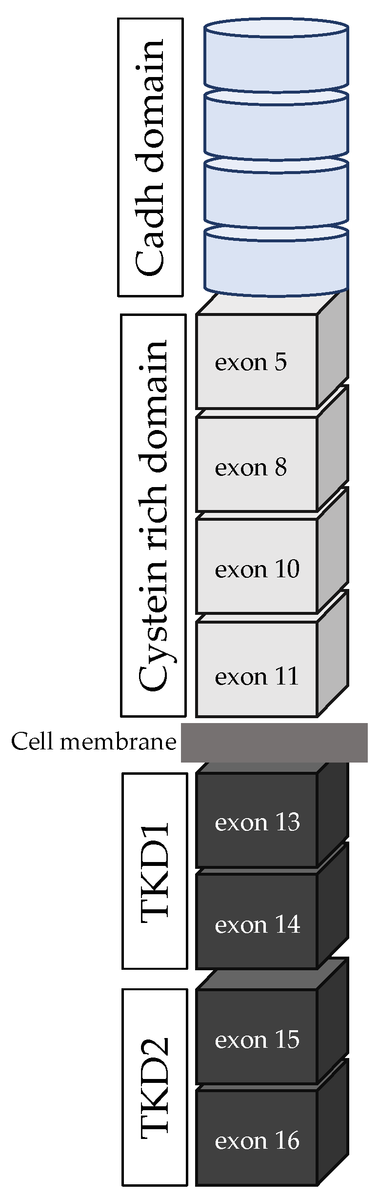 Cancers 15 04865 g001 Cancers 15 04865 g001