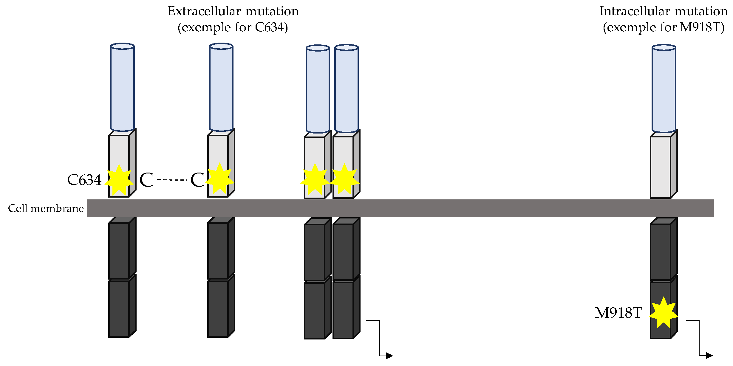 Cancers 15 04865 g003 Cancers 15 04865 g003