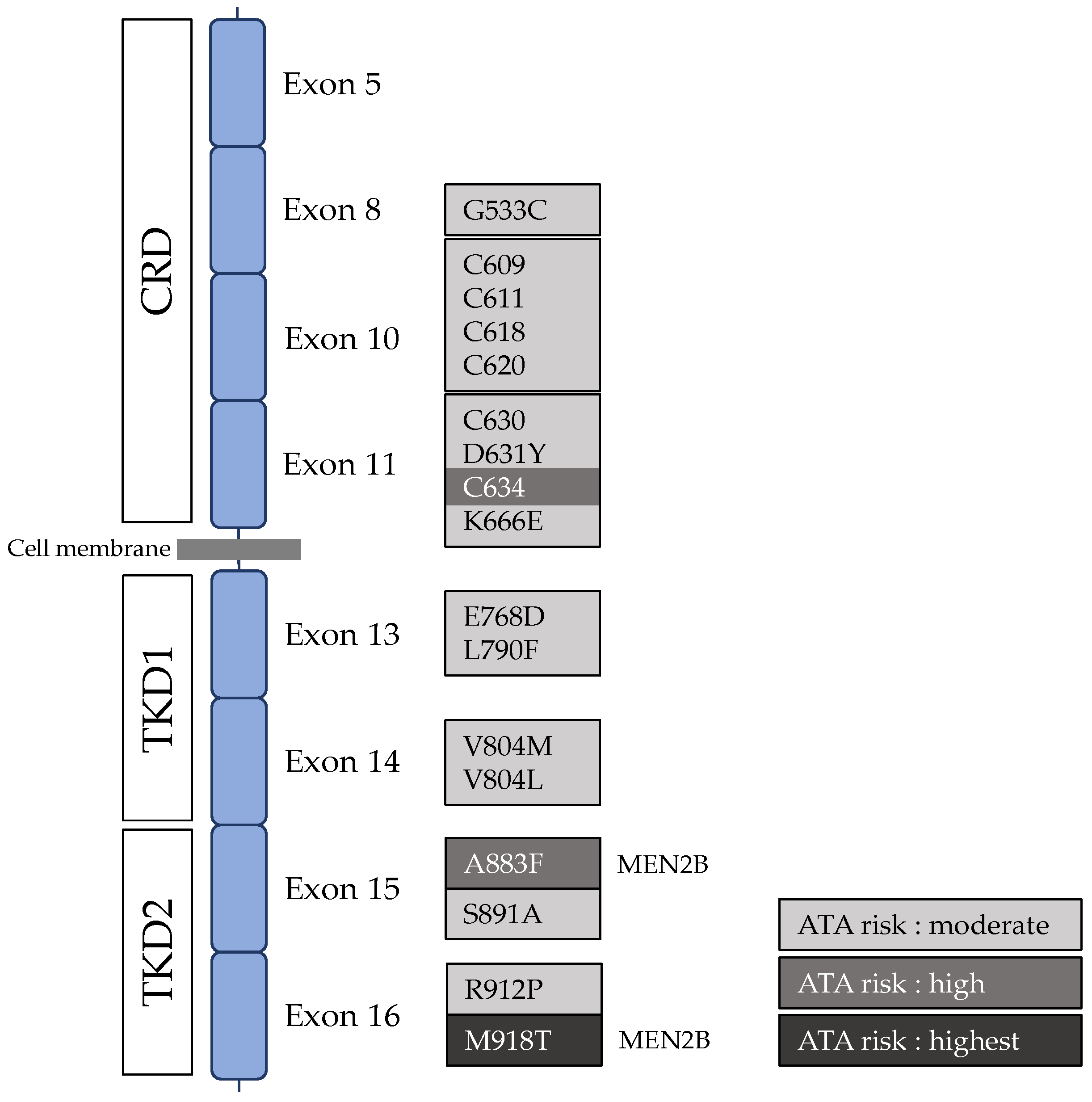 Cancers 15 04865 g004 Cancers 15 04865 g004