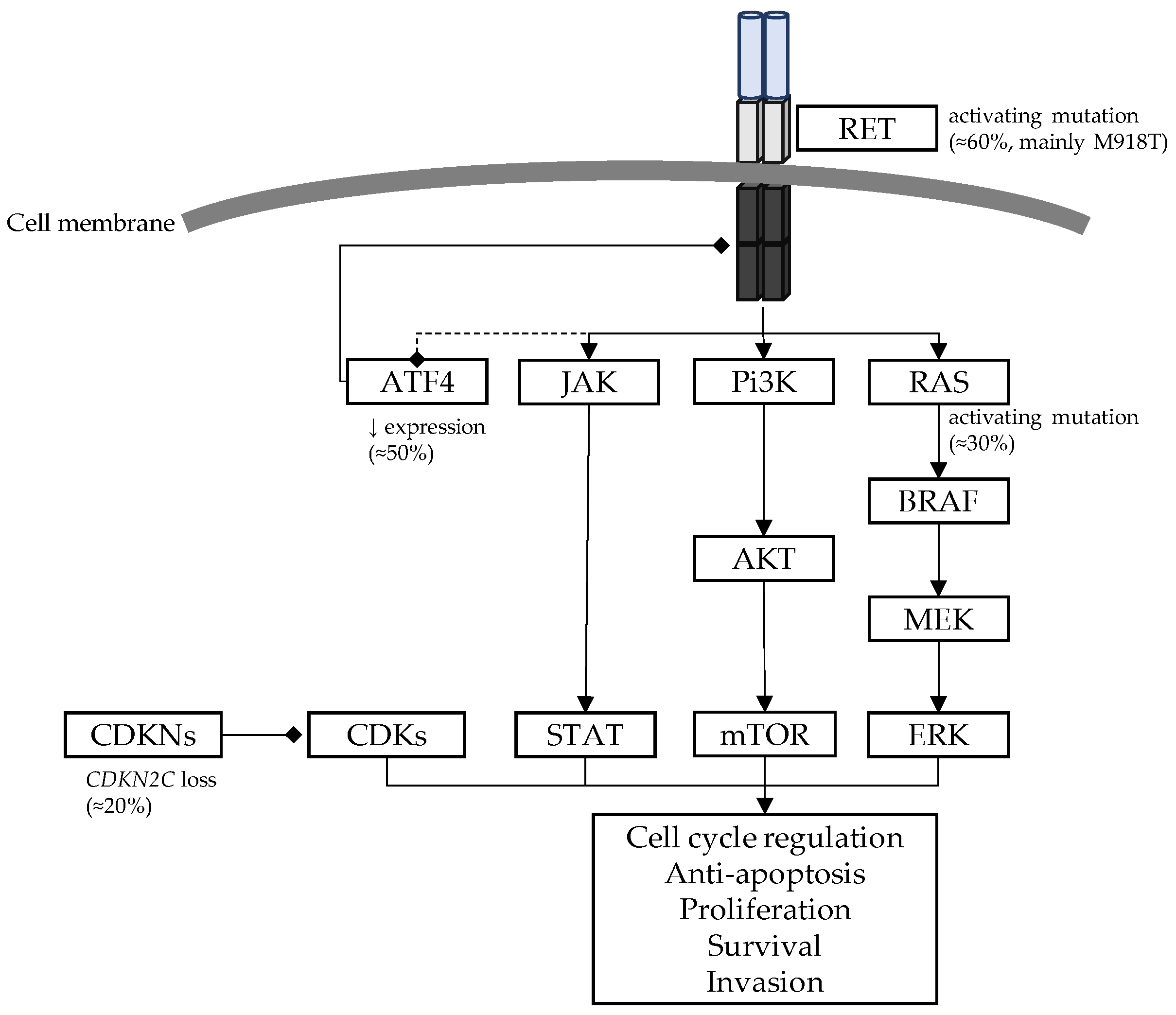 Cancers 15 04865 g005 Cancers 15 04865 g005