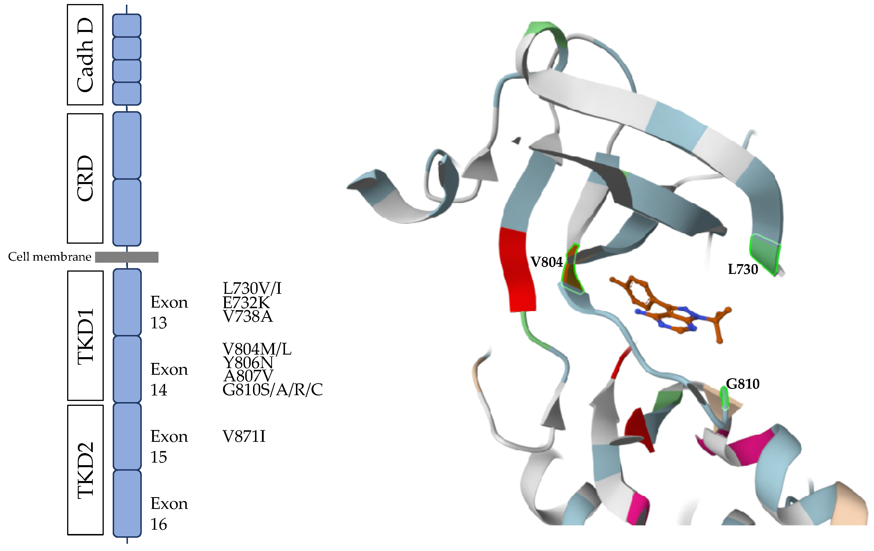 Cancers 15 04865 g006 Cancers 15 04865 g006