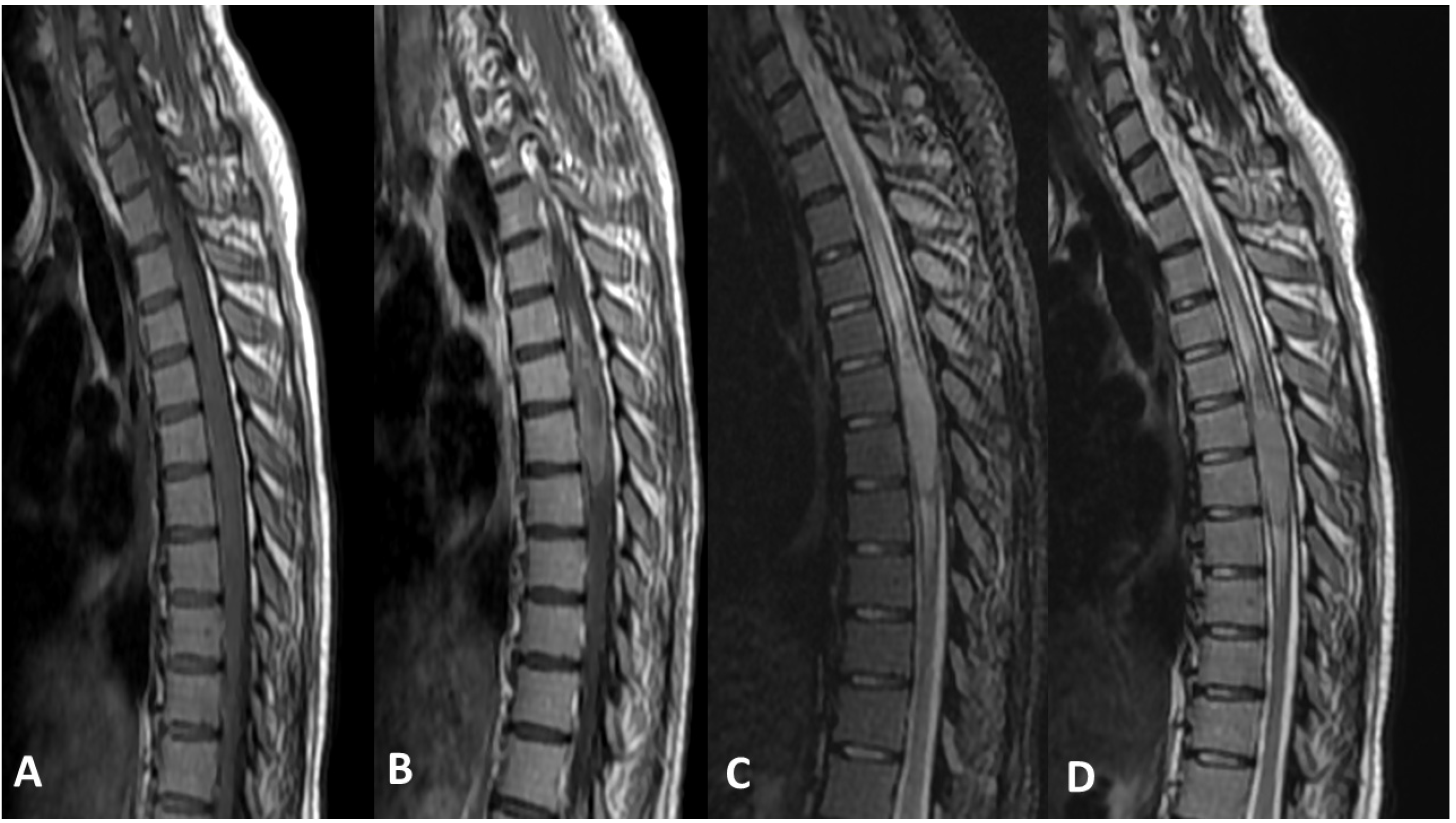 Cancers 15 04869 g004