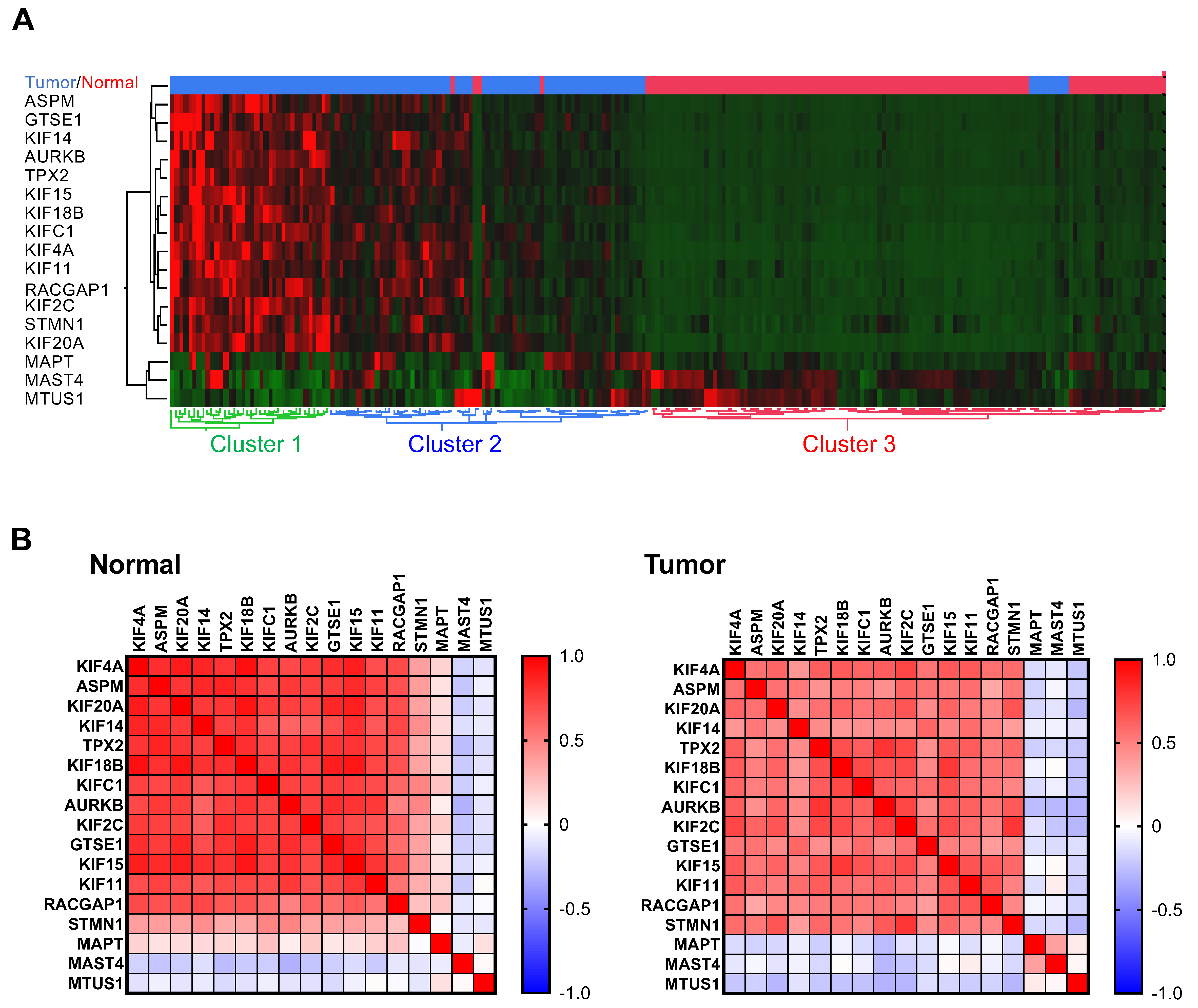 Cancers 15 04870 g002