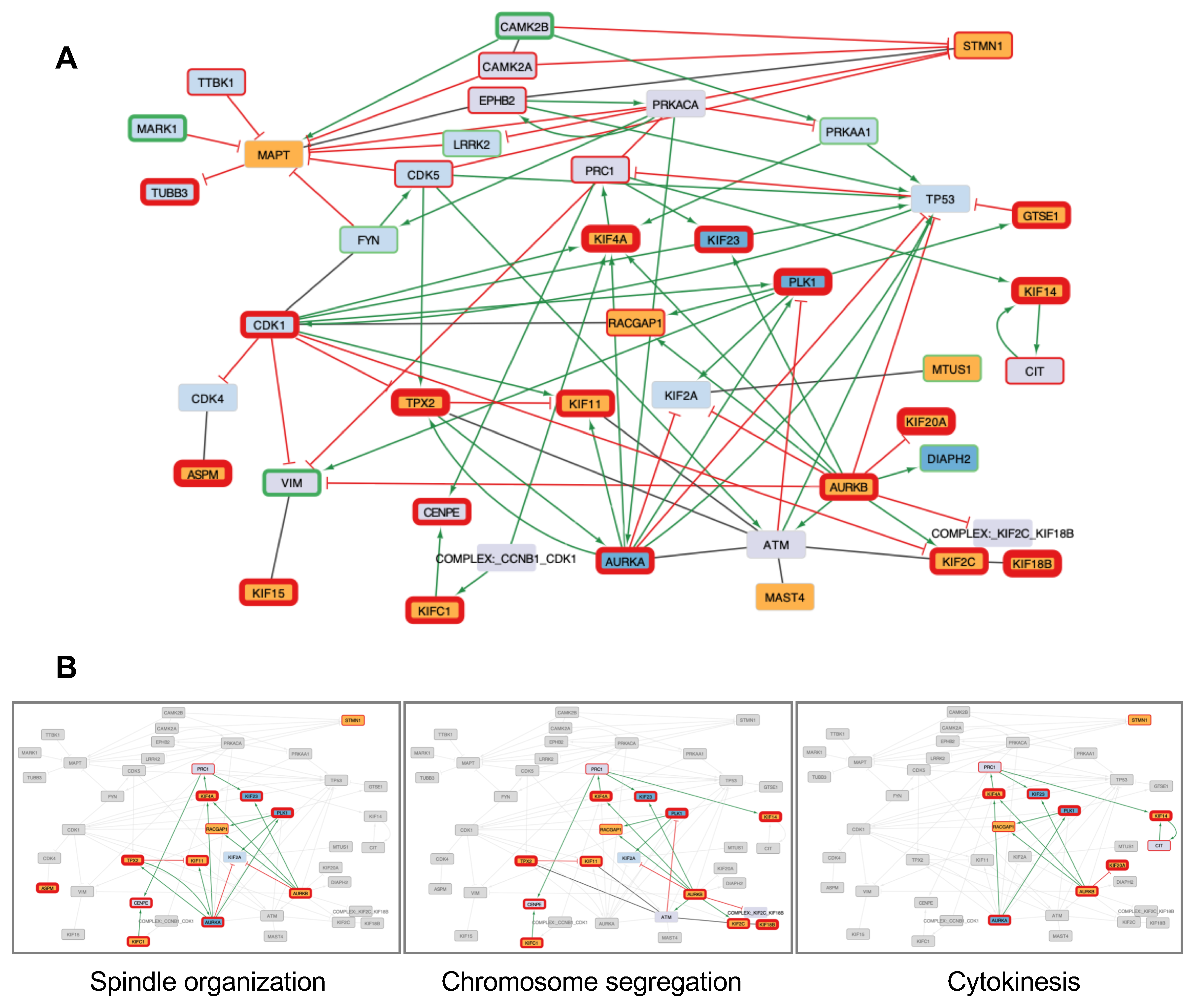 Cancers 15 04870 g005