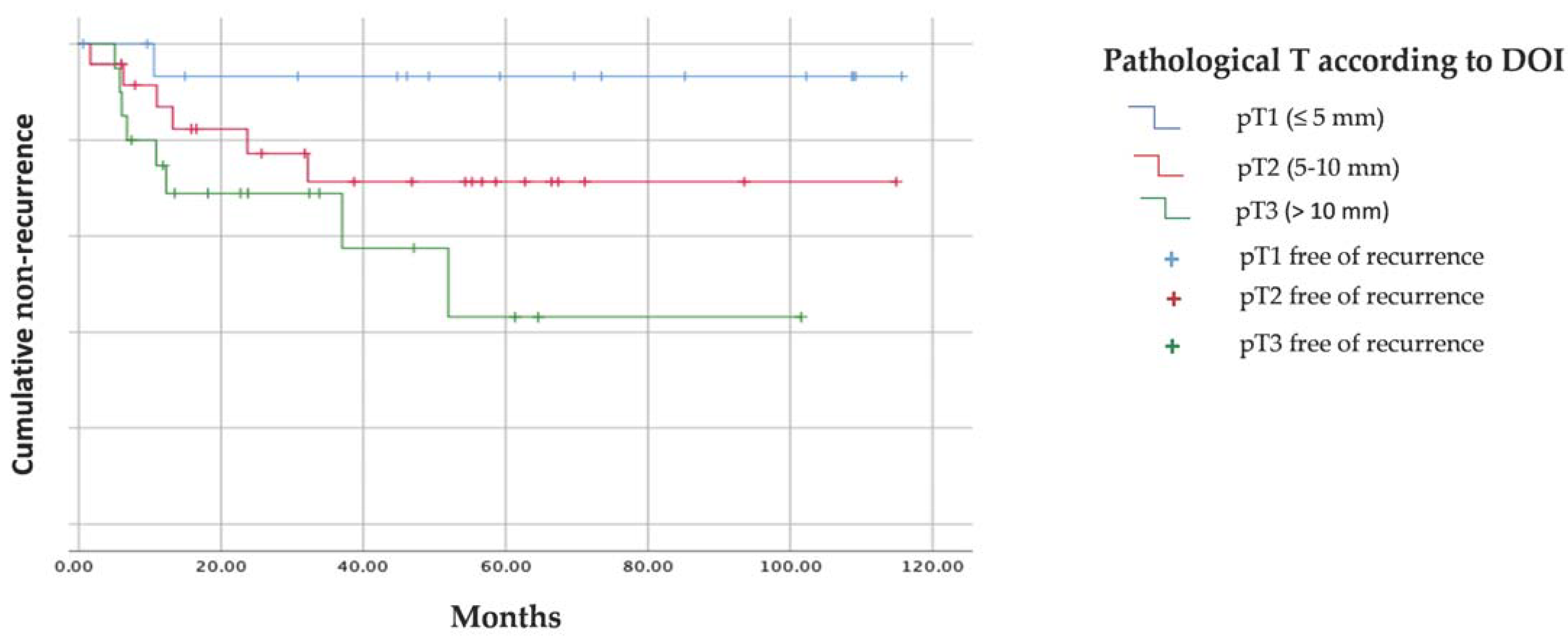 Cancers 15 04882 g003