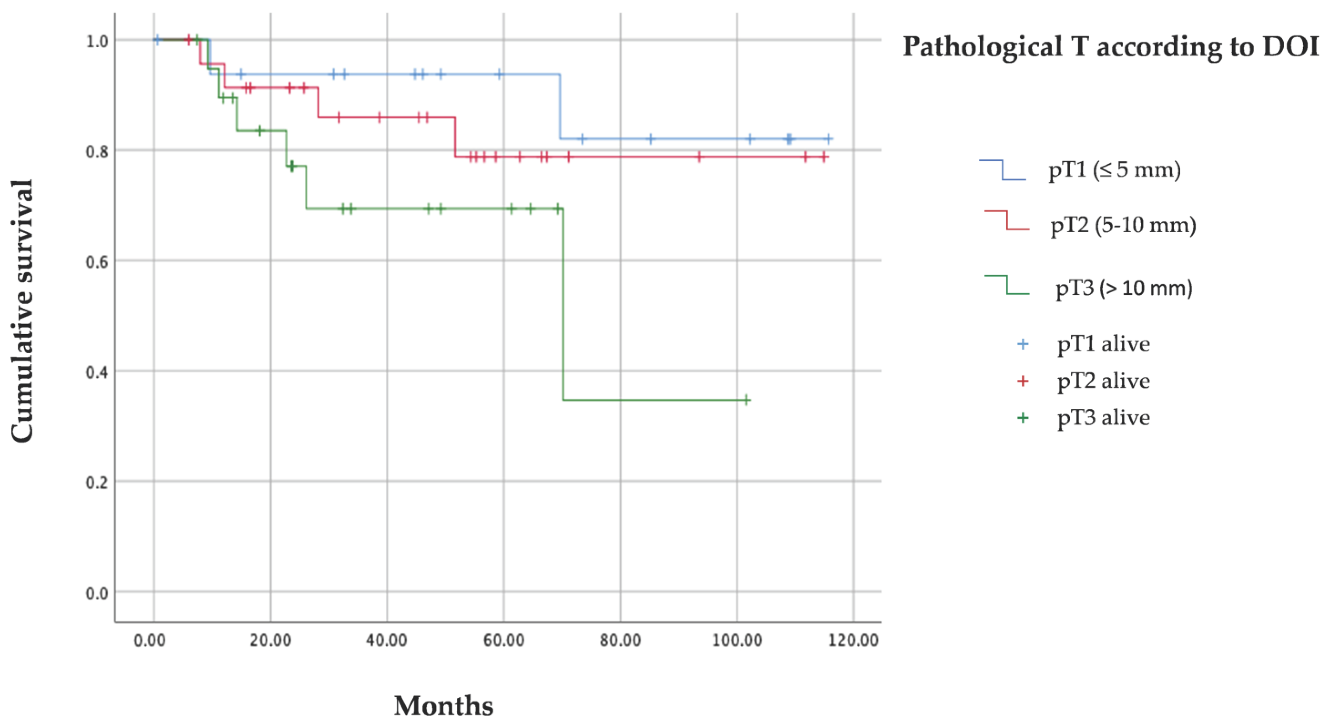 Cancers 15 04882 g005