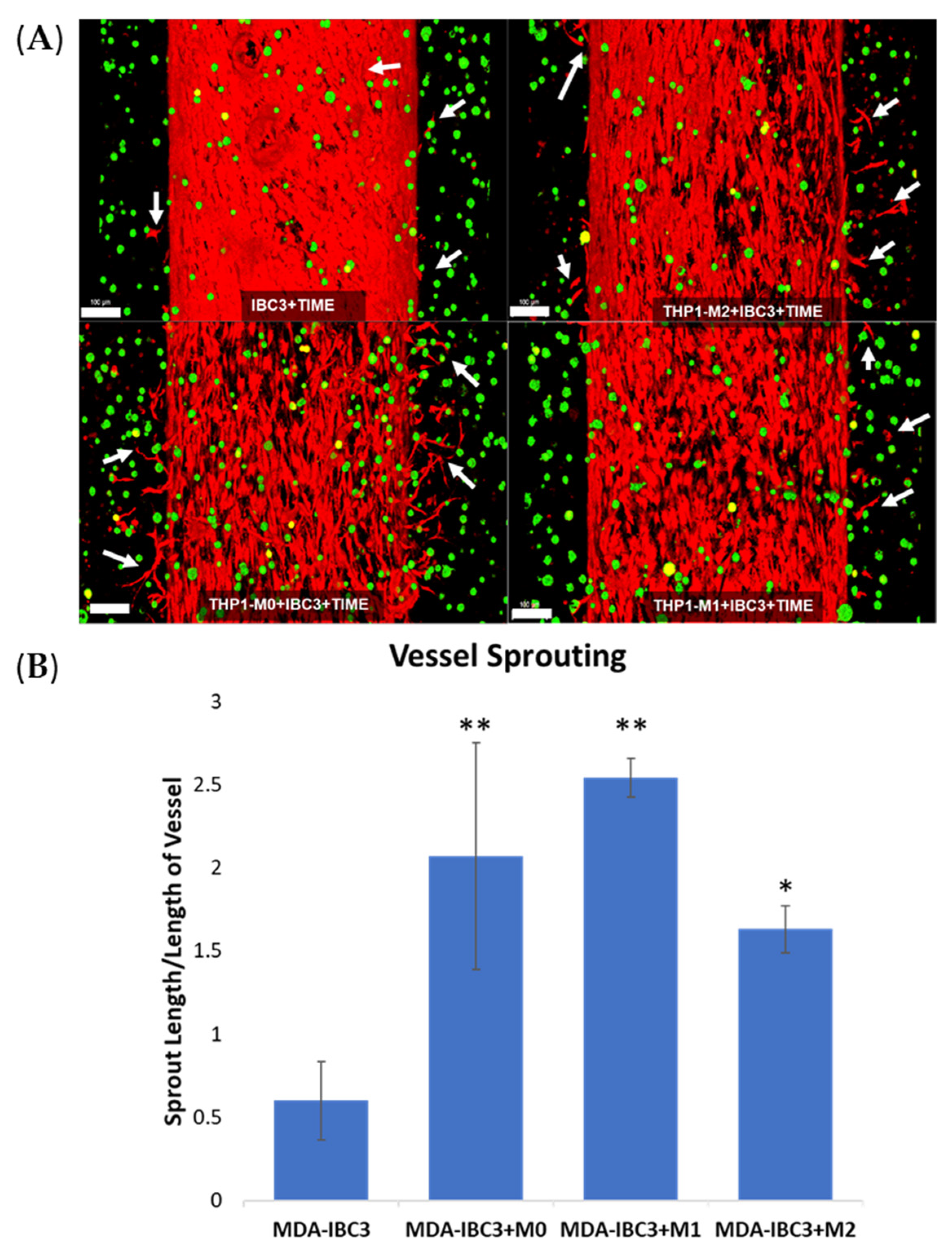 Cancers 15 04883 g001 Cancers 15 04883 g001