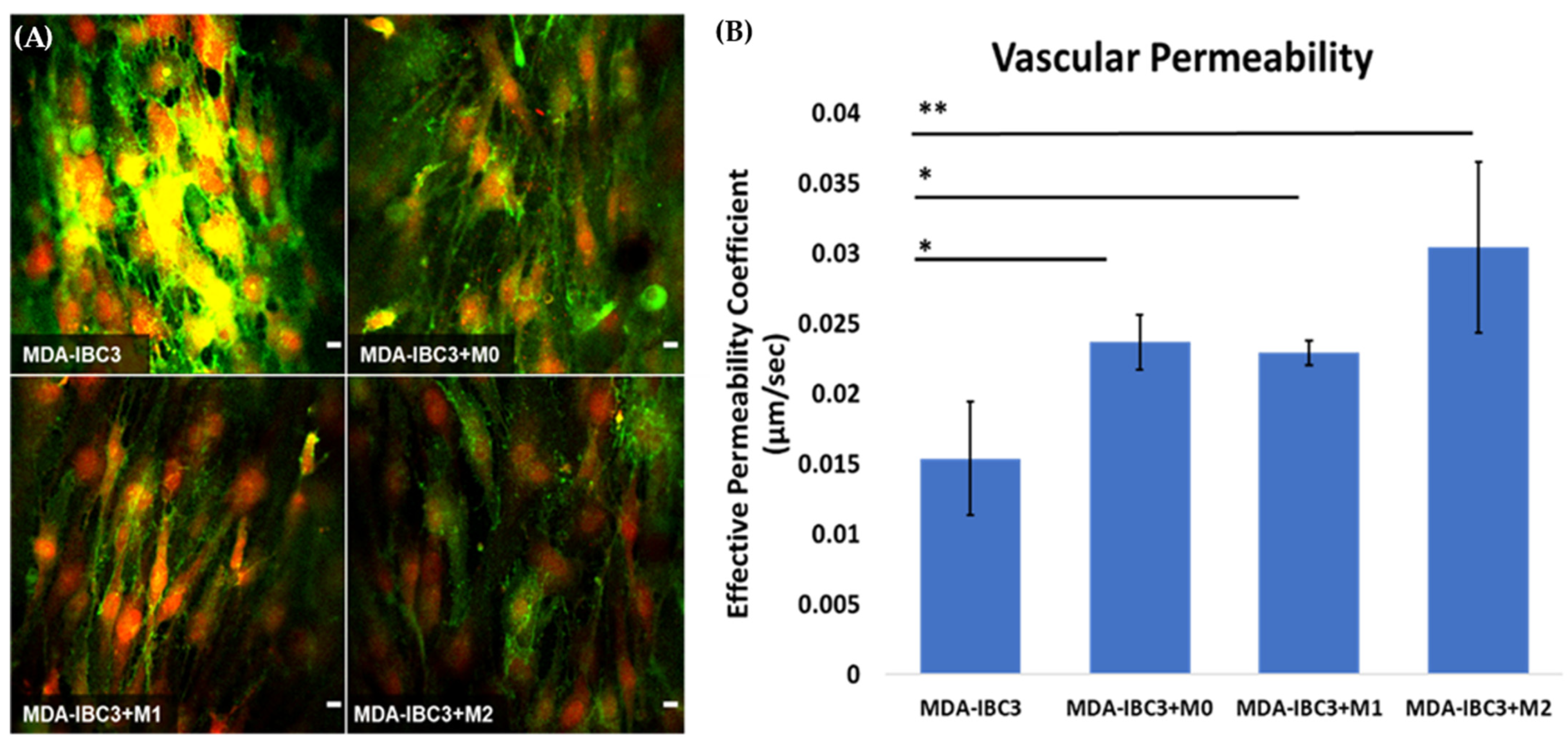 Cancers 15 04883 g003 Cancers 15 04883 g003