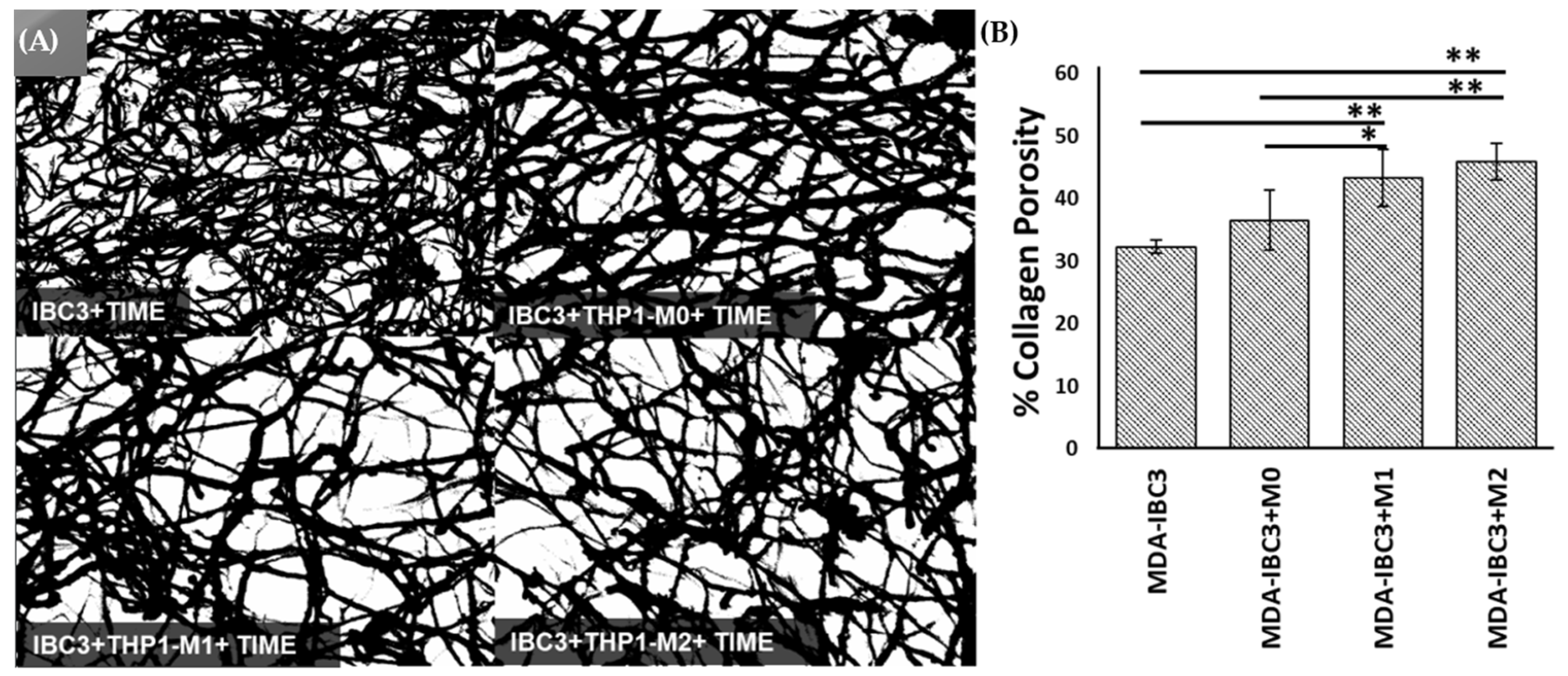 Cancers 15 04883 g004 Cancers 15 04883 g004