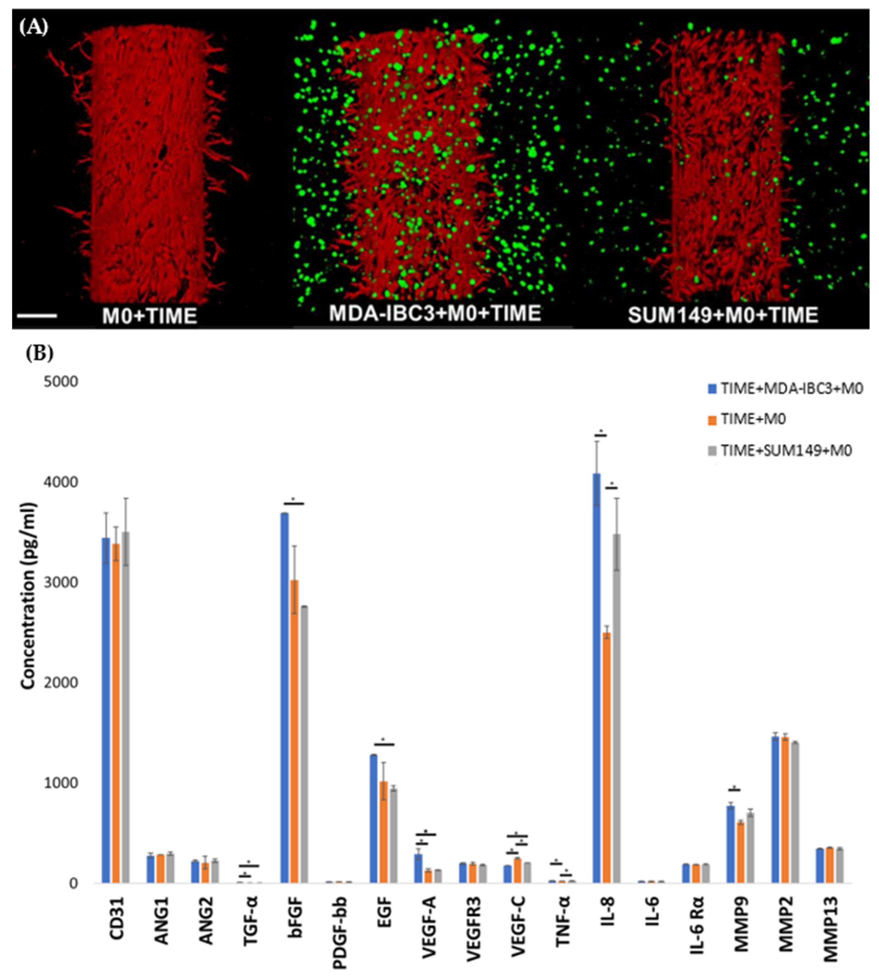Cancers 15 04883 g006 Cancers 15 04883 g006