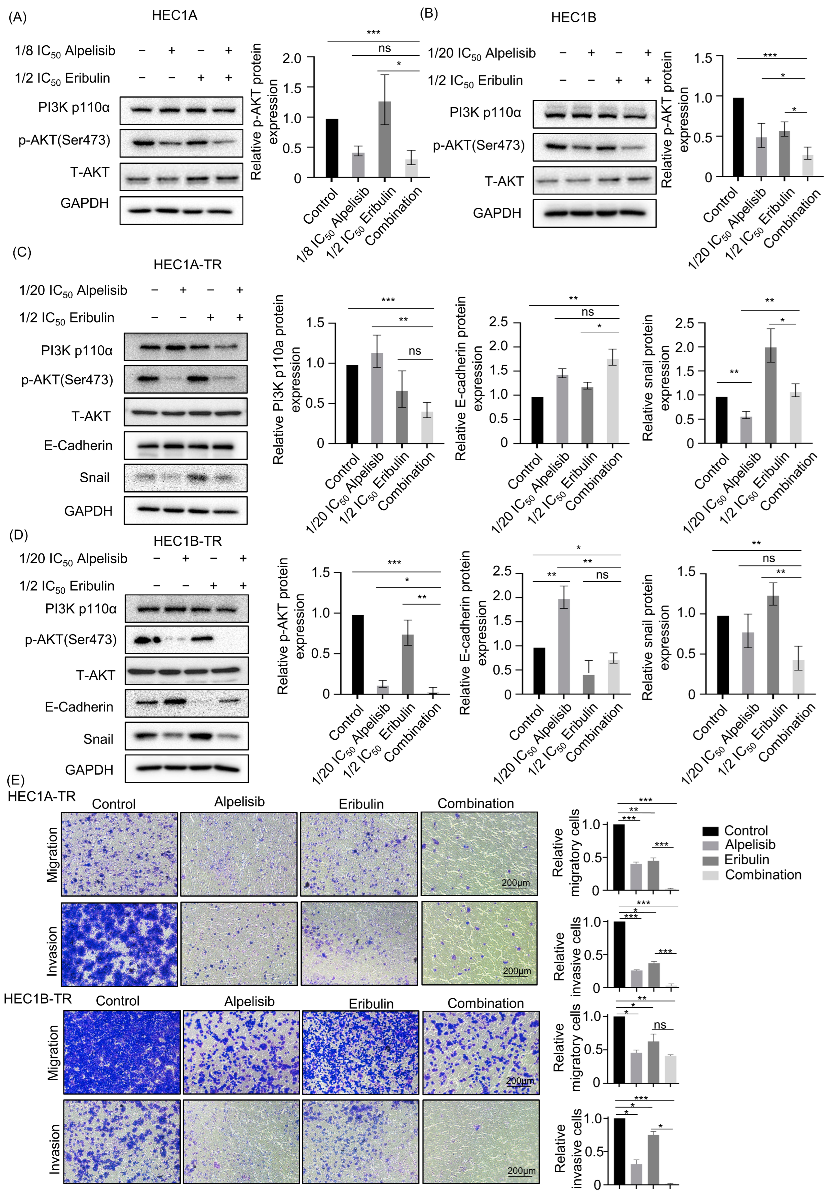 Cancers 15 04887 g004