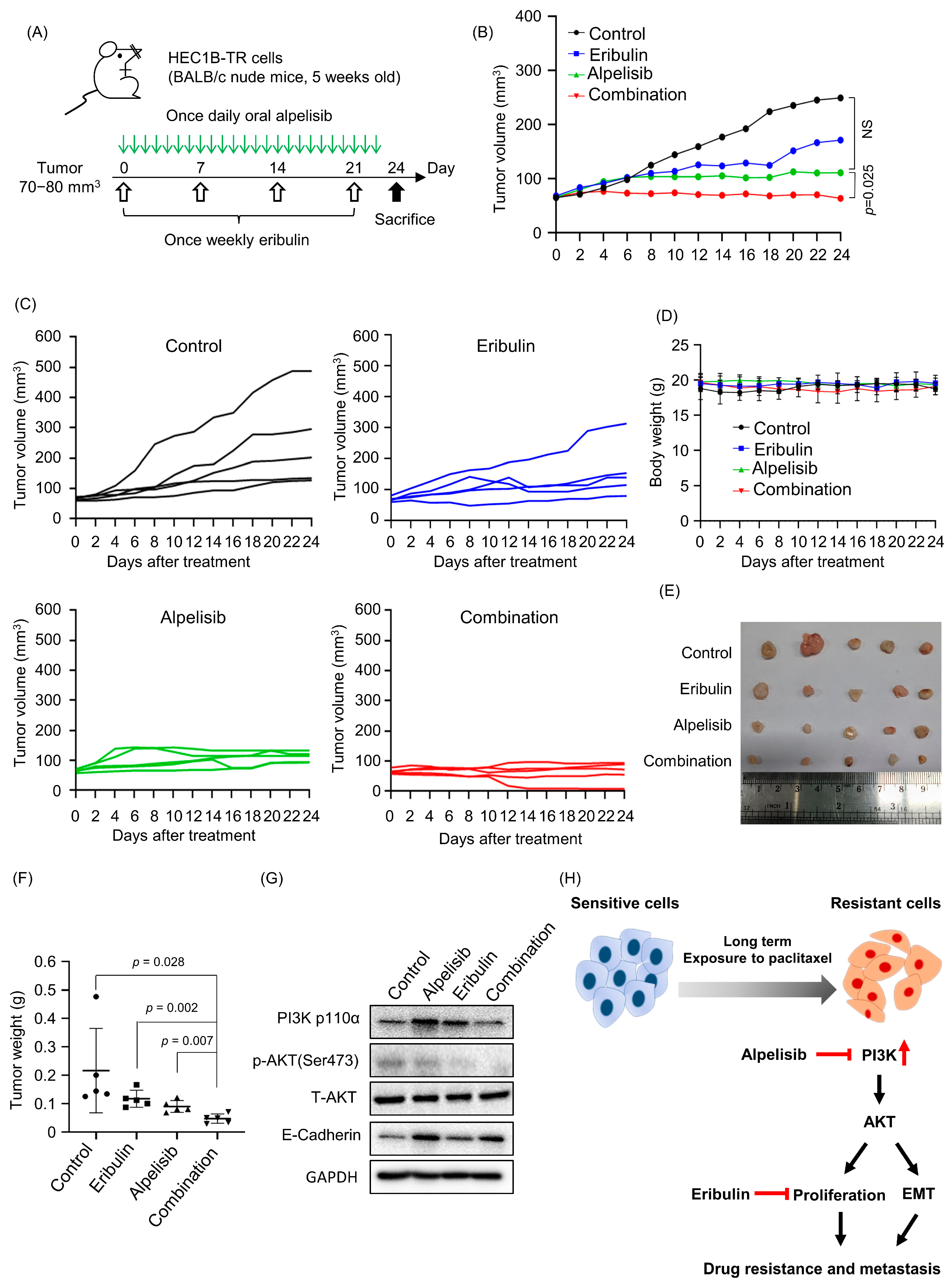 Cancers 15 04887 g005