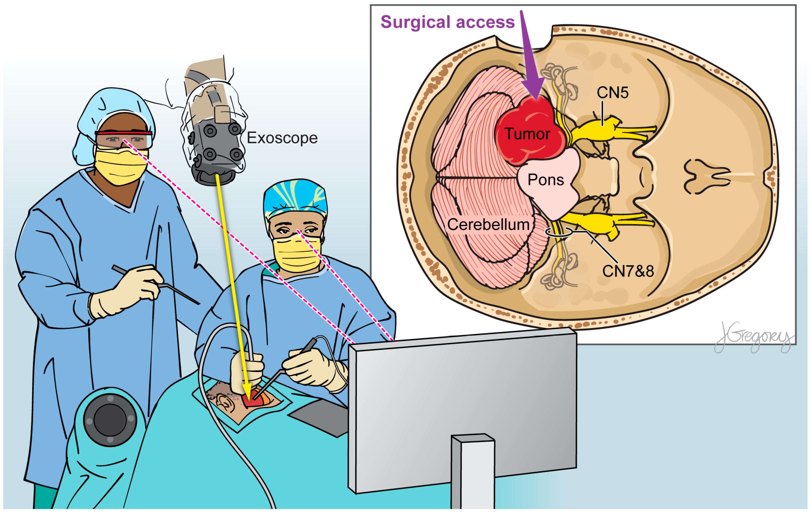 Cancers 15 04890 g002