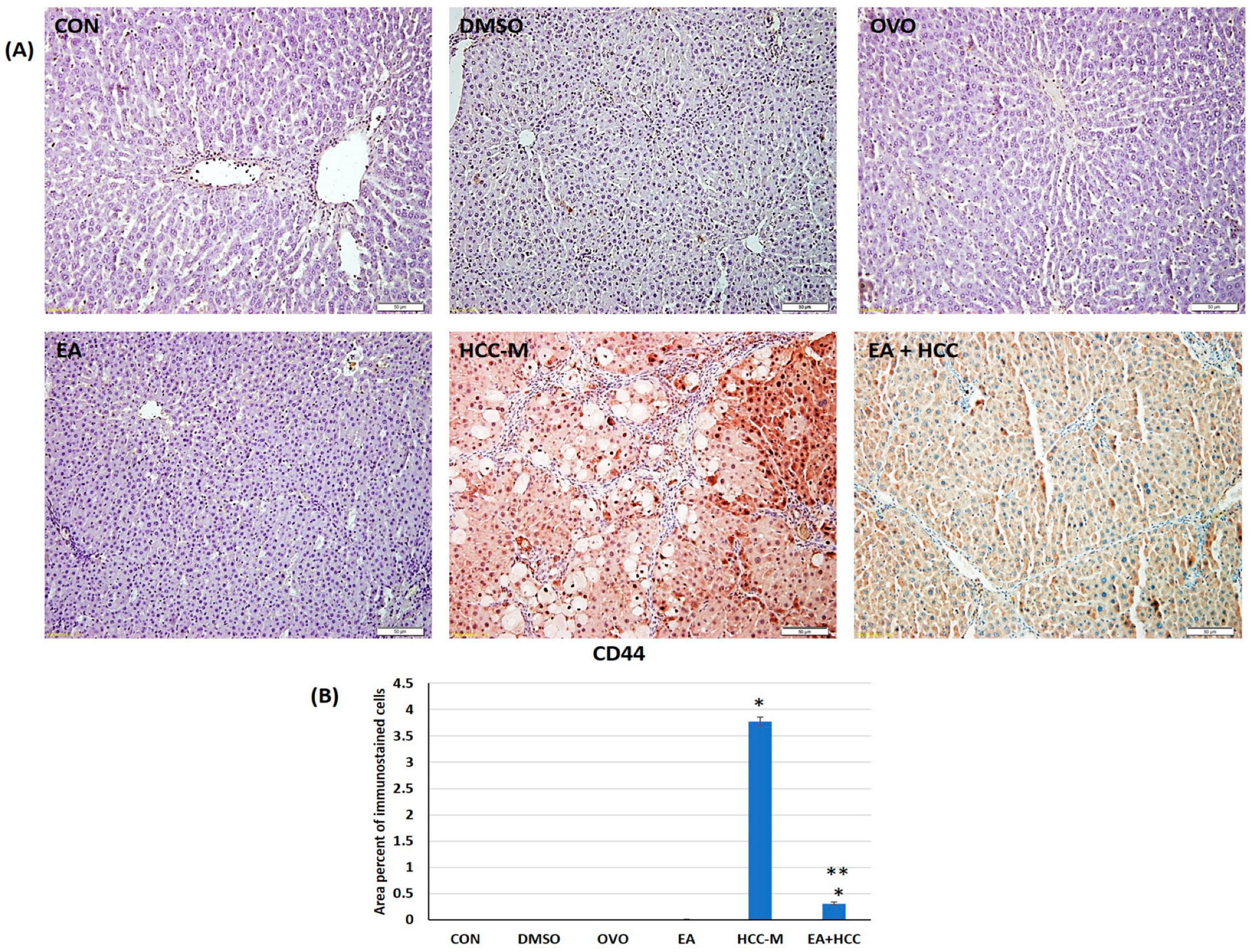 Cancers 15 04891 g006