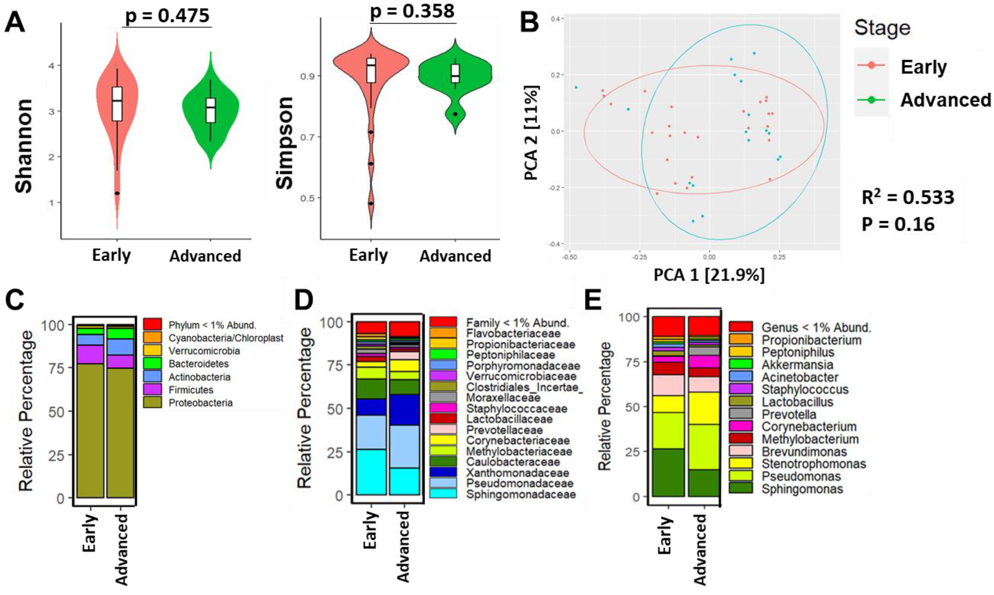 Cancers 15 04893 g004