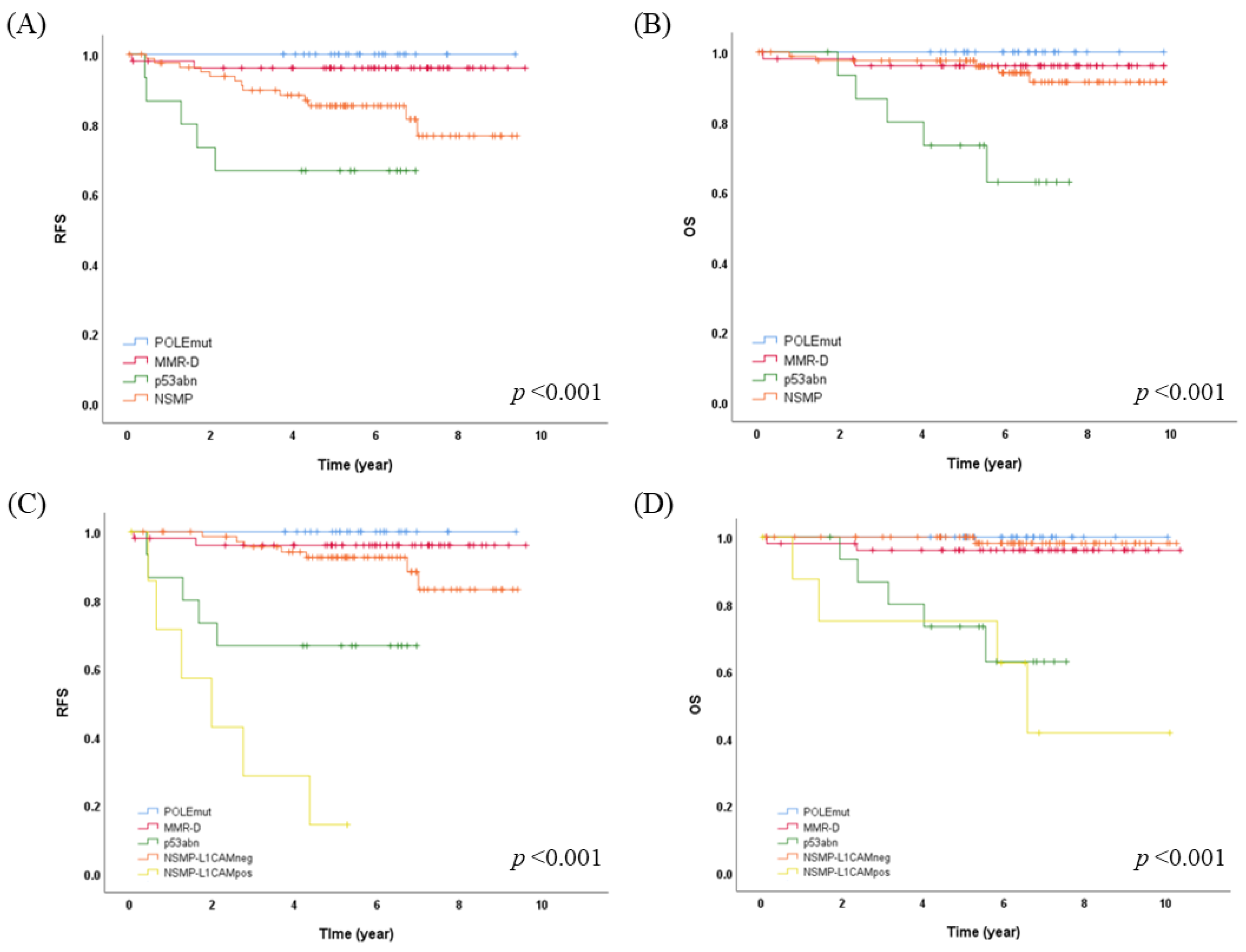 Cancers 15 04899 g001